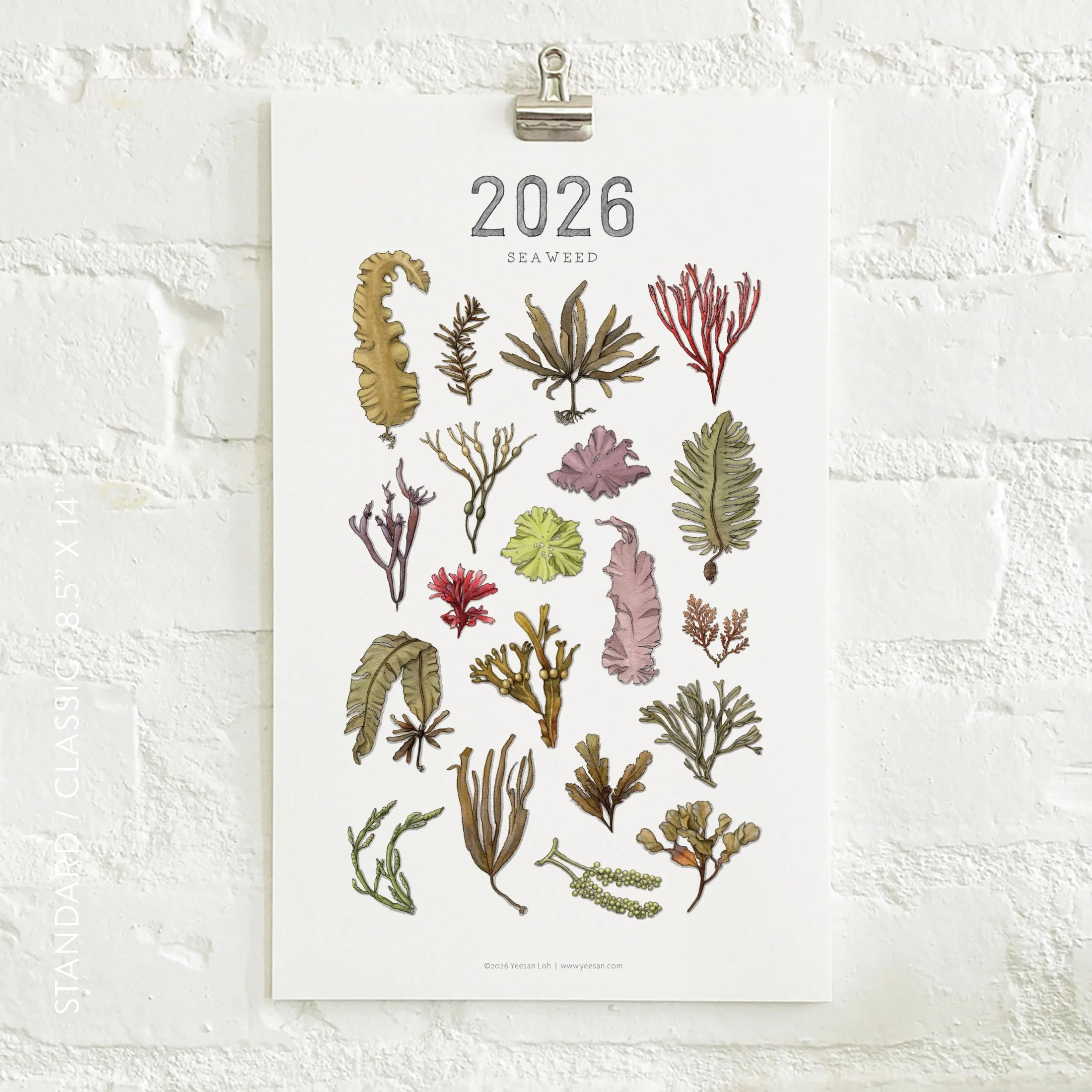 2026_shop_Calendars_Seaweed2.jpg