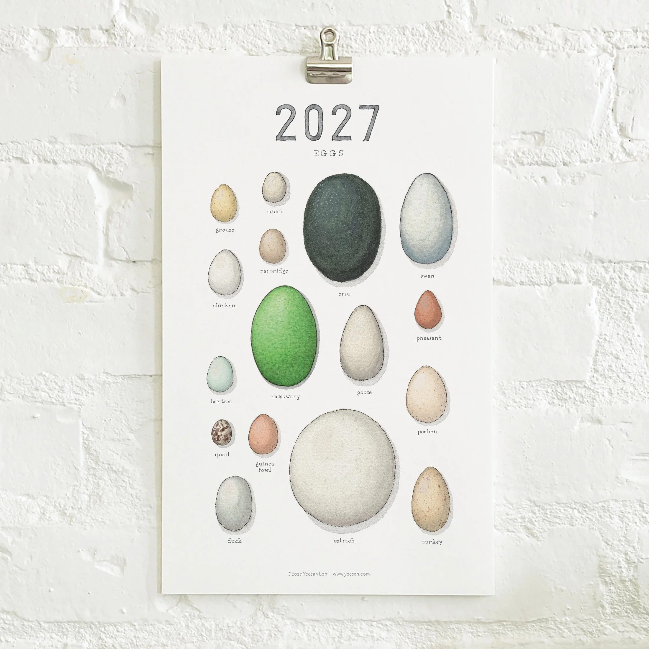 2027_shop_CAL_Eggs2.jpg