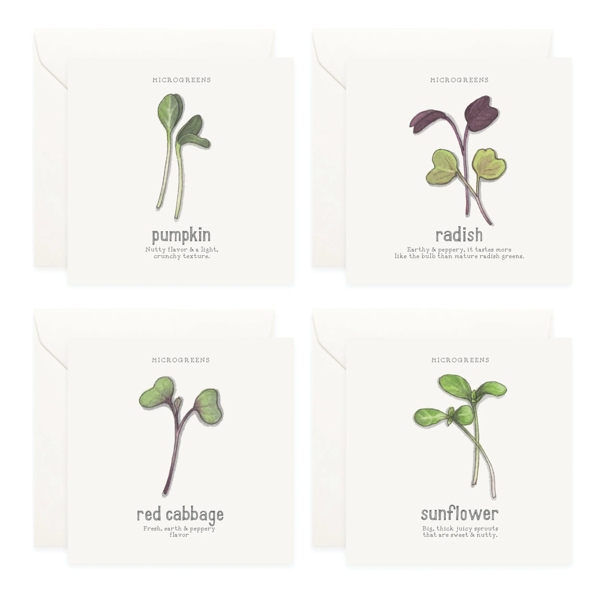 Shop_Box Set_Microgreens5.jpg