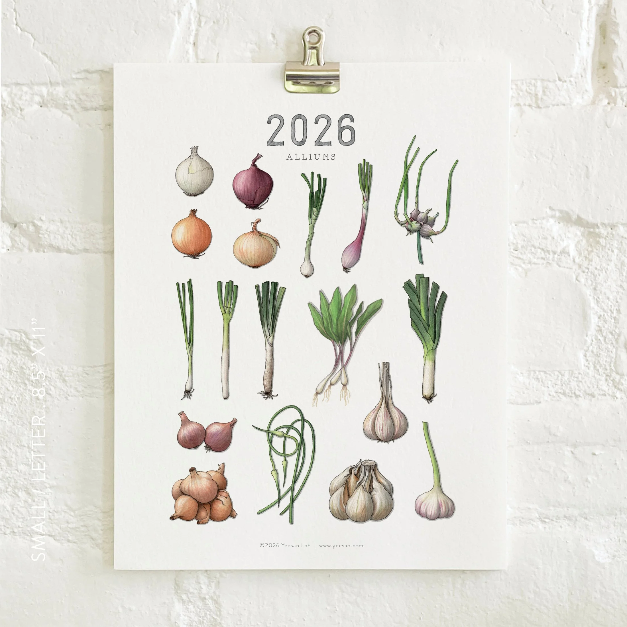 2026_shop_Calendars_Alliums6.jpg