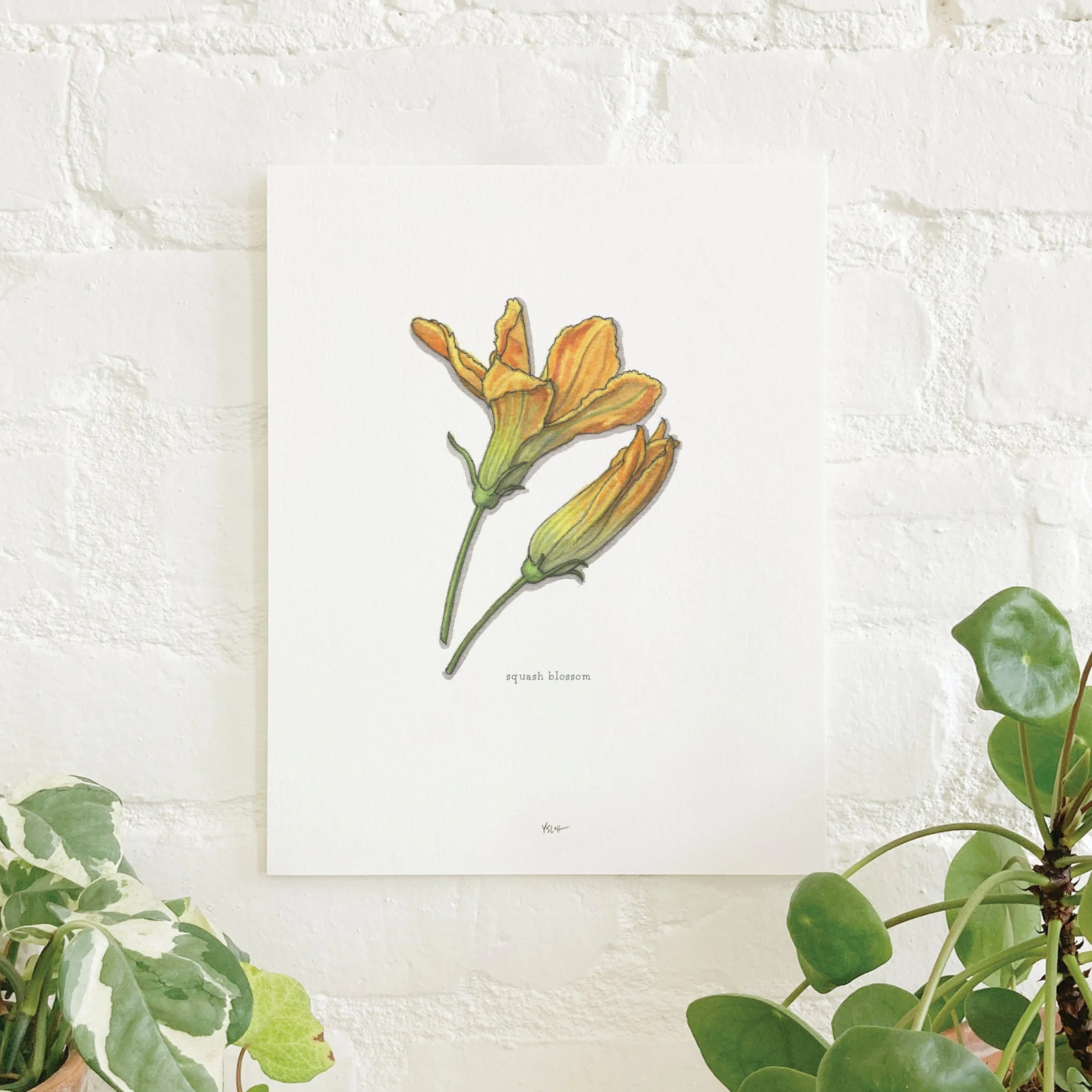 Shop_8.5x11_print_Edible Flowers15.jpg