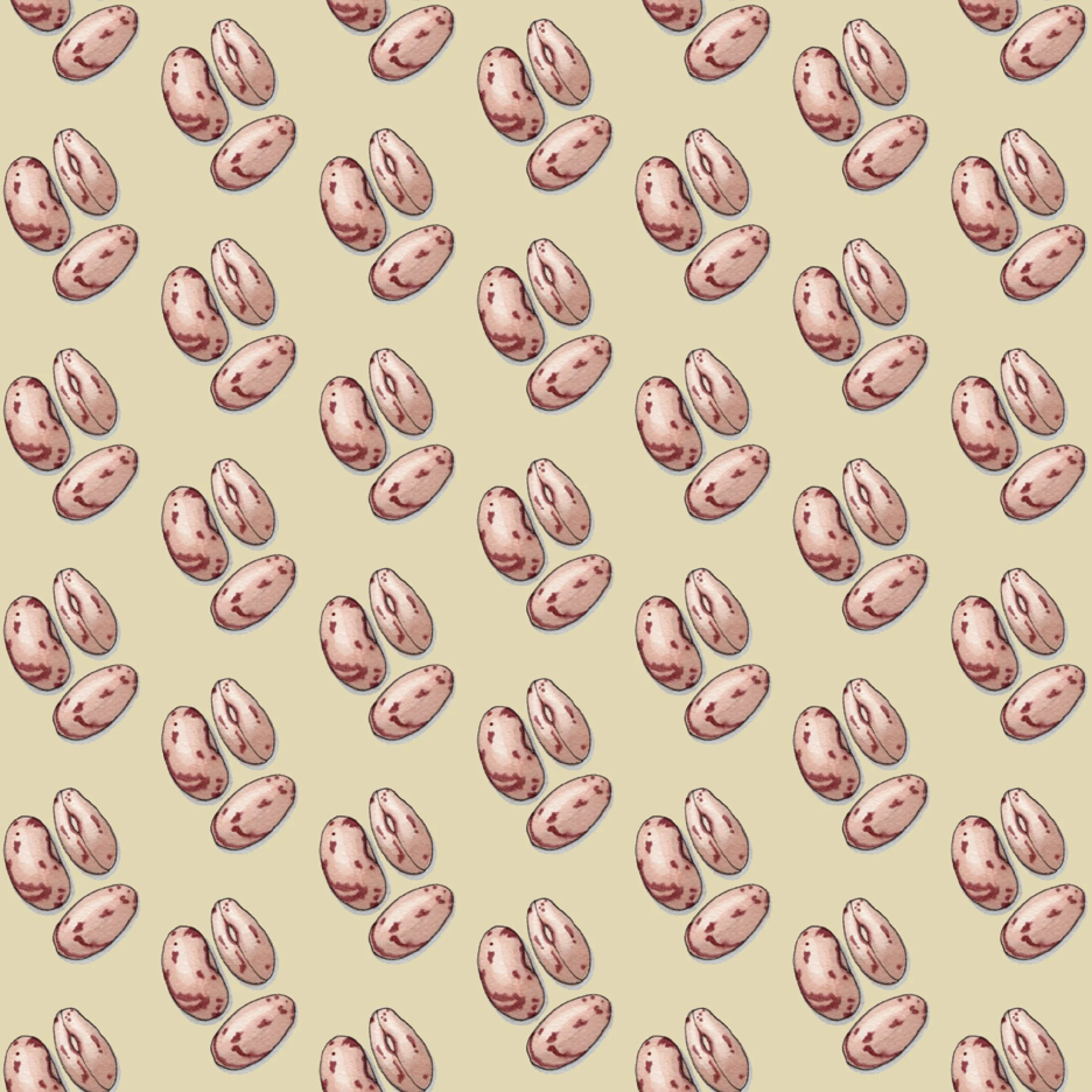 Shop_GW_Pulses_Beans2.jpg
