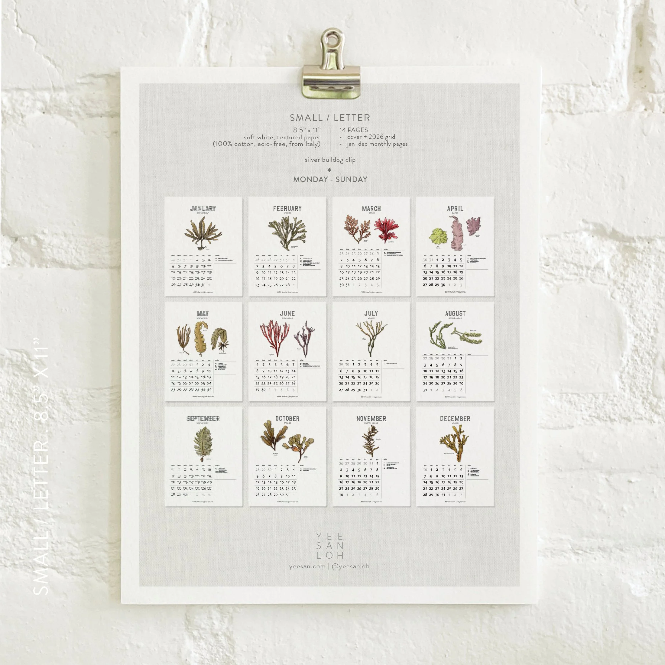 2026_shop_Calendars_Seaweed9.jpg