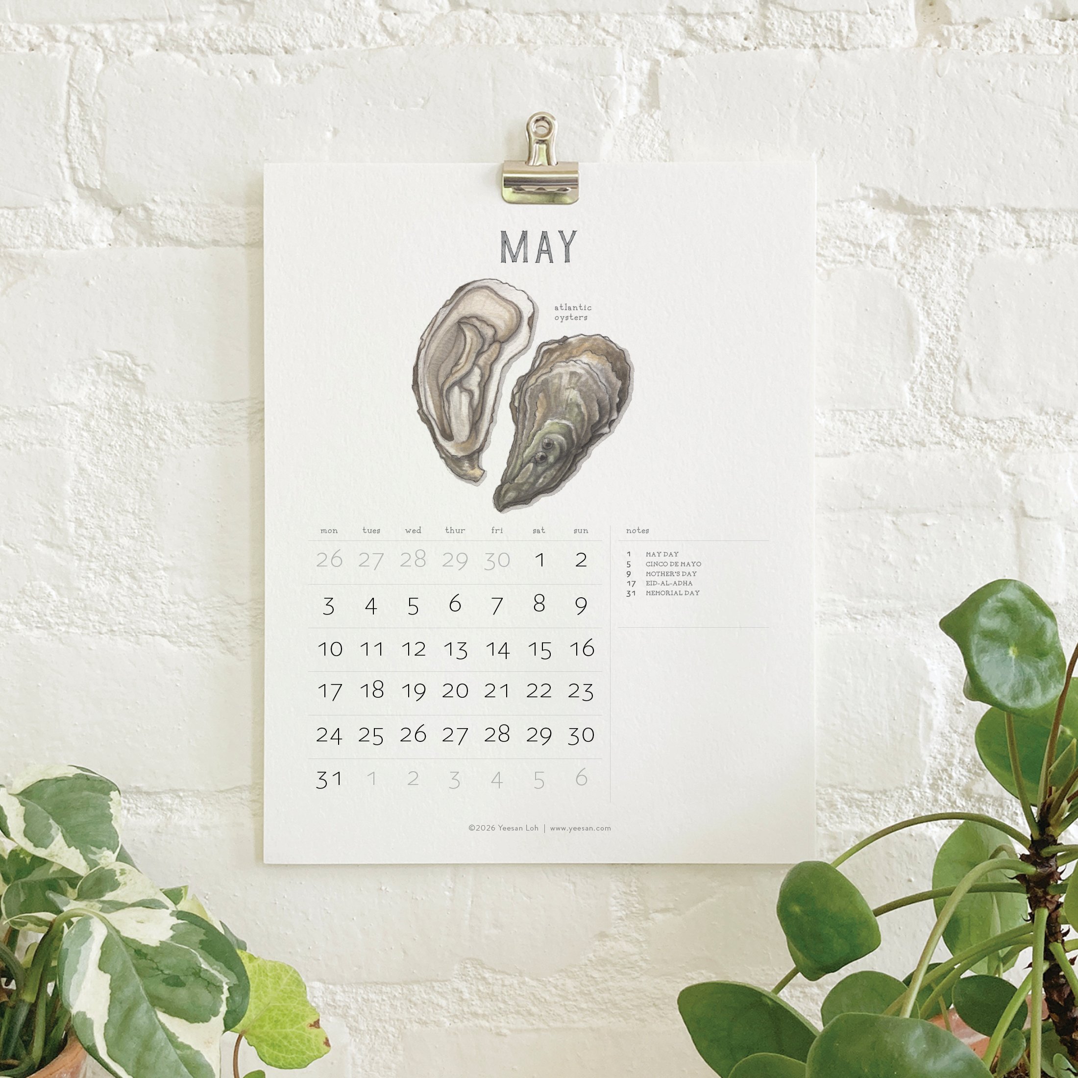 2027_shop_CAL_Shellfish7.jpg