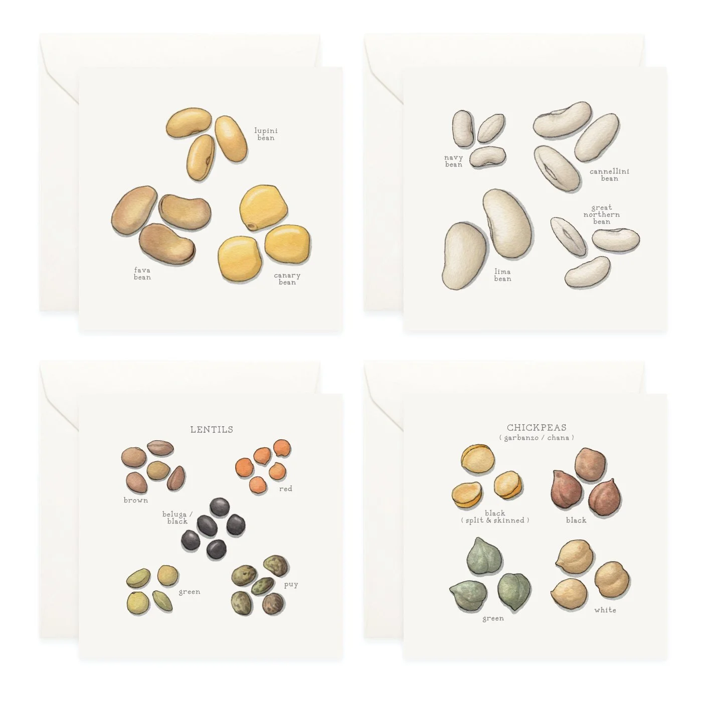 Shop_Box Set_Pulses3.jpg