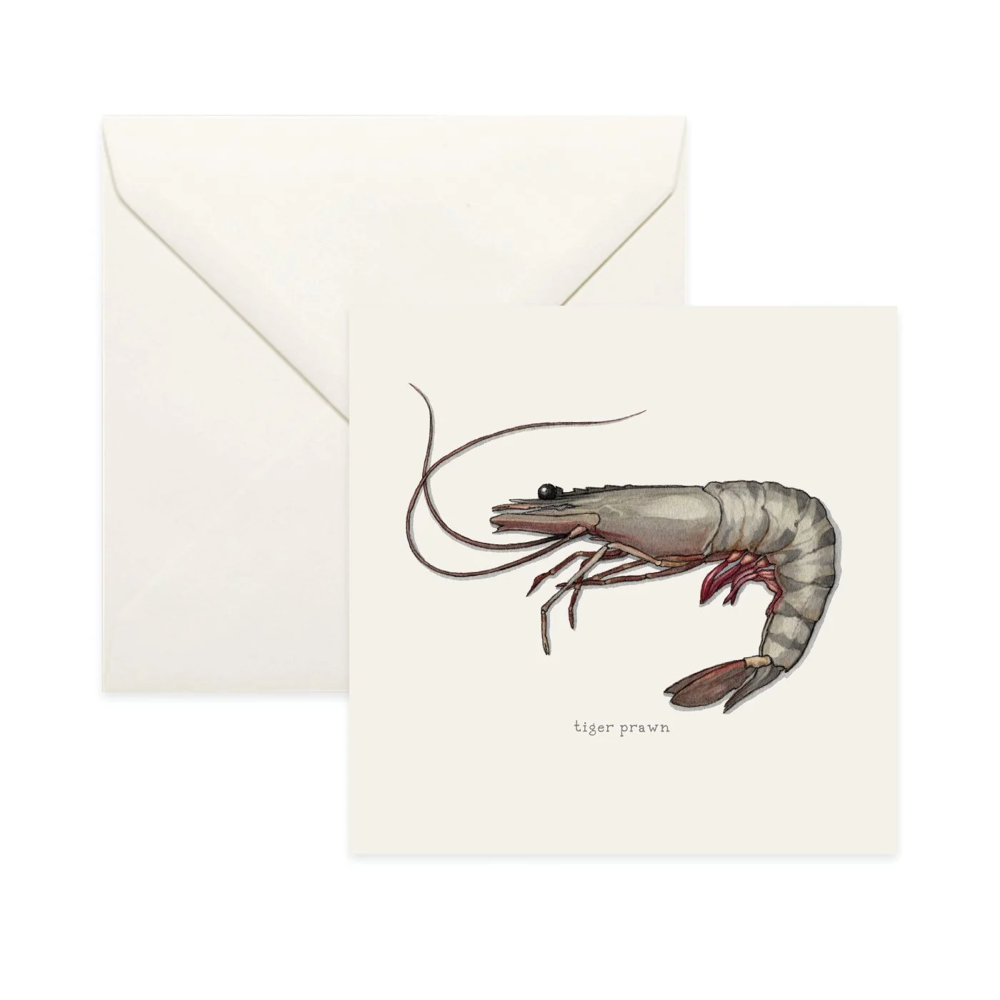 Shop_Card_Shrimp10.jpg