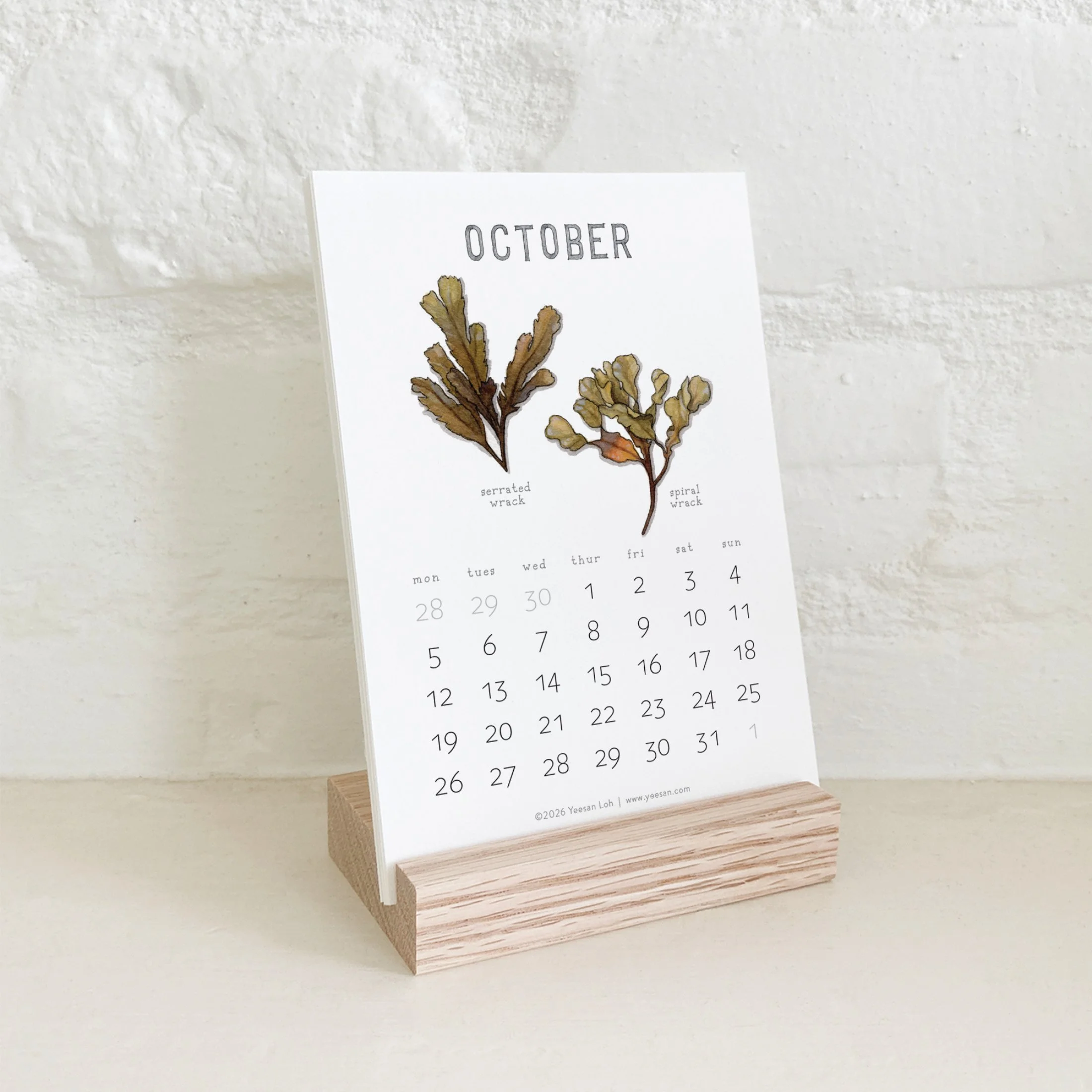 2026_shop_Calendars_Seaweed12.jpg