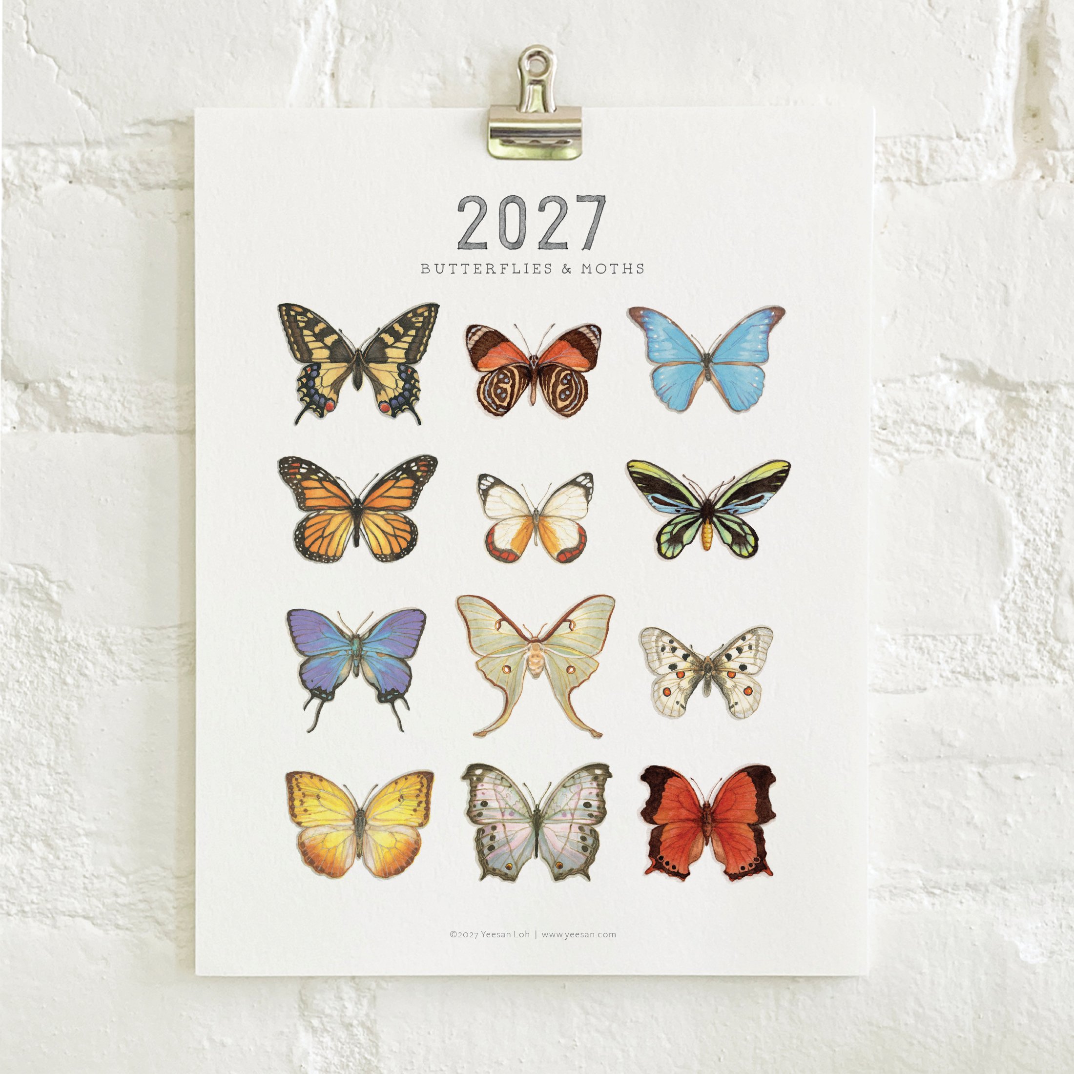 2027_shop_CAL_B&M6.jpg