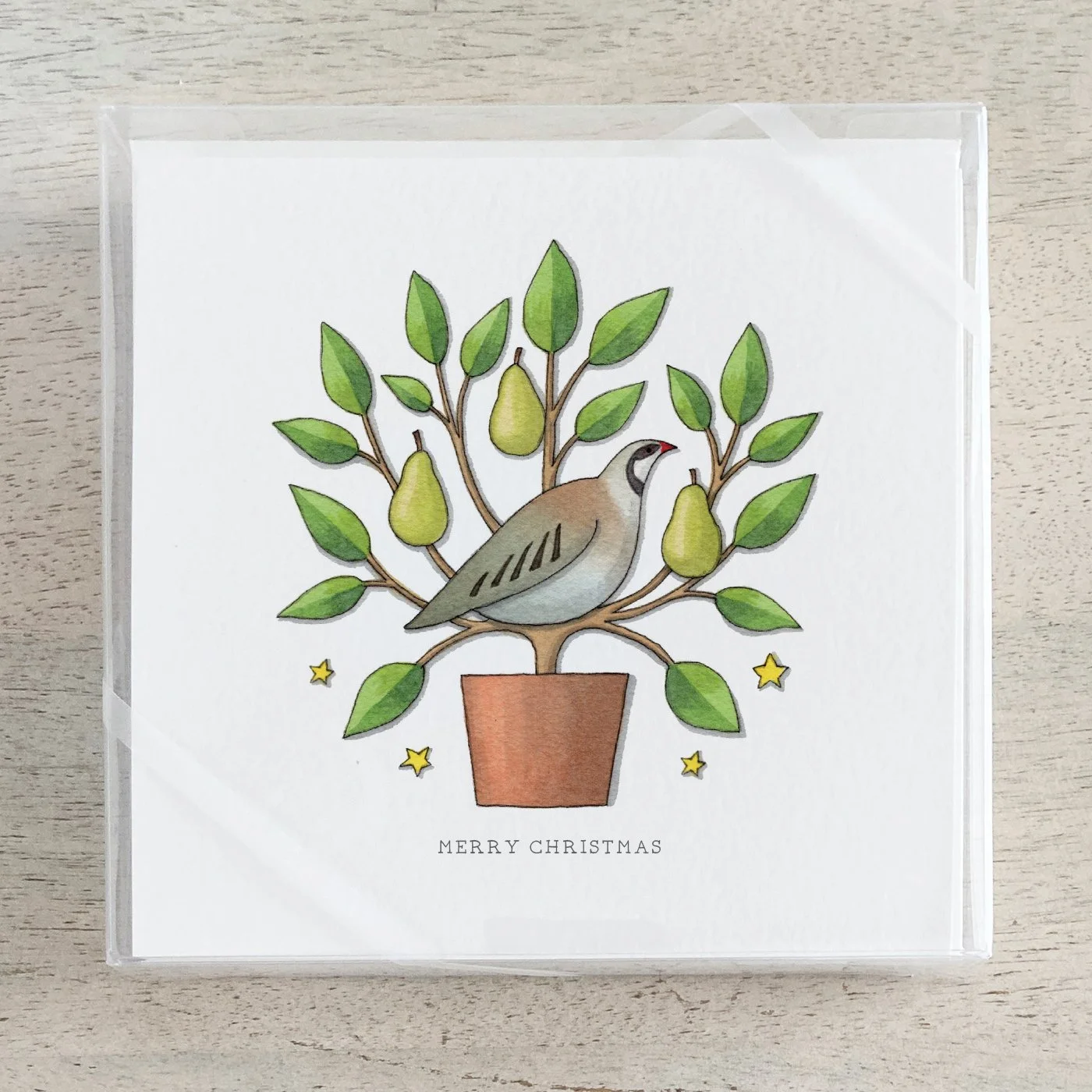 Shop_Box Set_CCBox_12 Days_no text.jpg