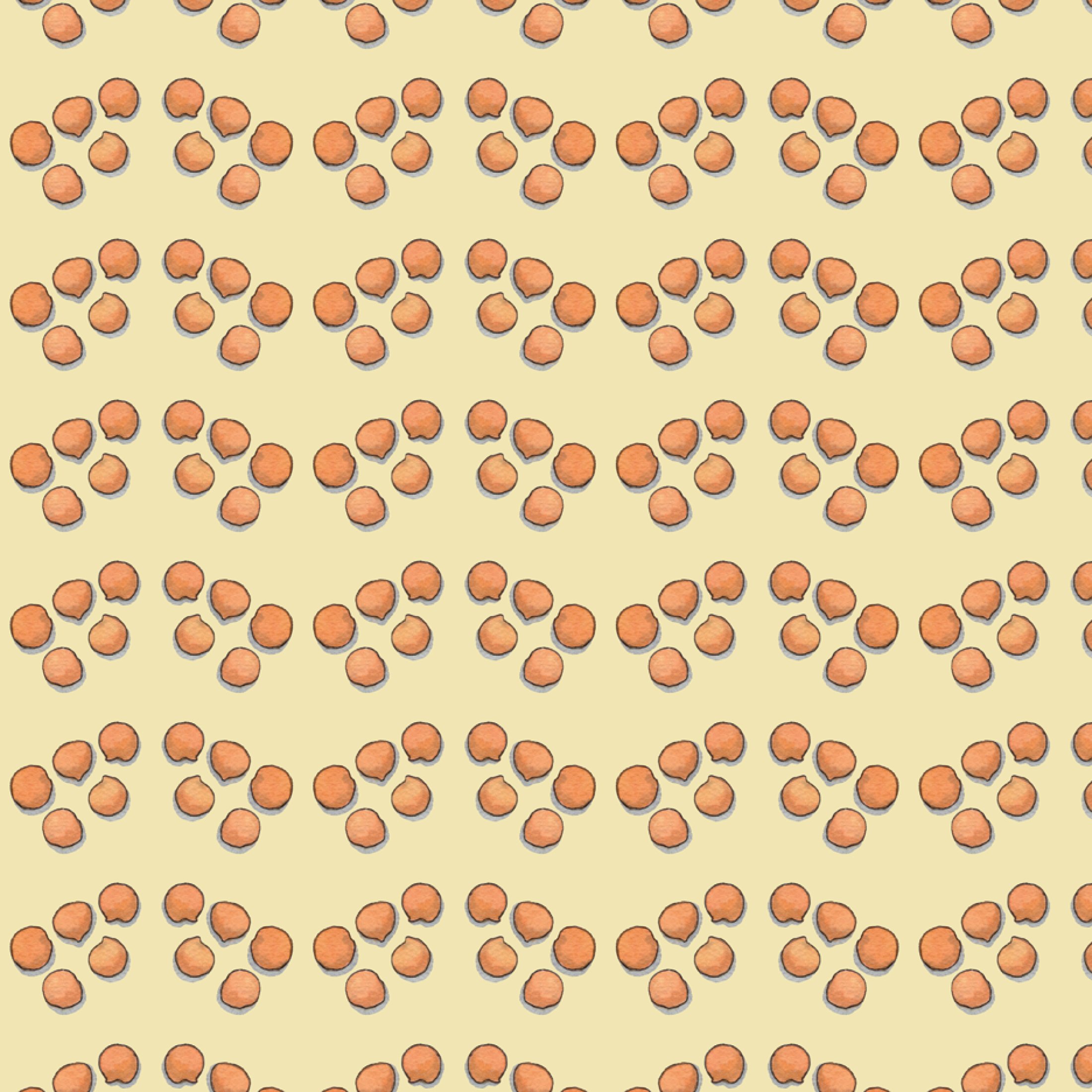 Shop_GW_Pulses_Lentil5.jpg