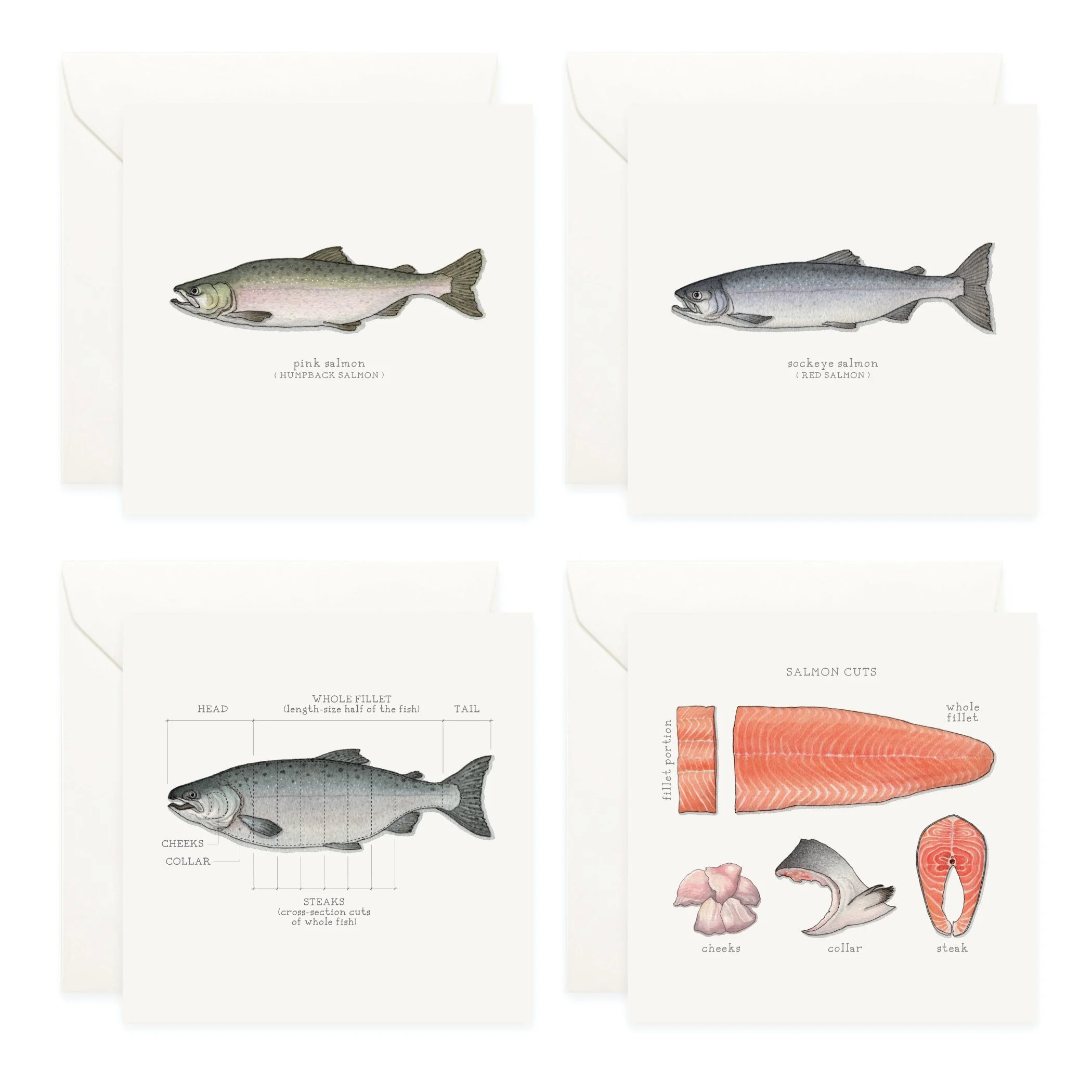 Shop_Box Set_Salmon4.jpg