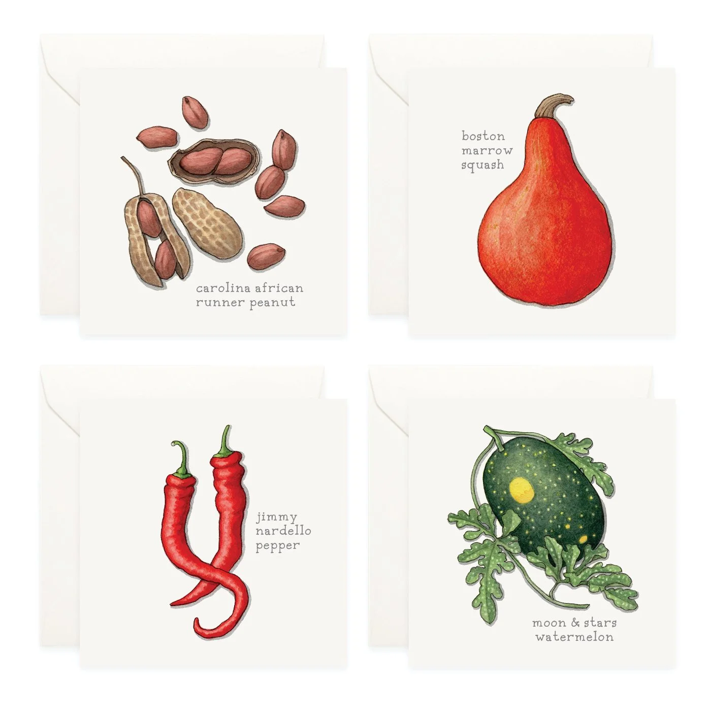Shop_Mini Cards_SlowFood20262.jpg