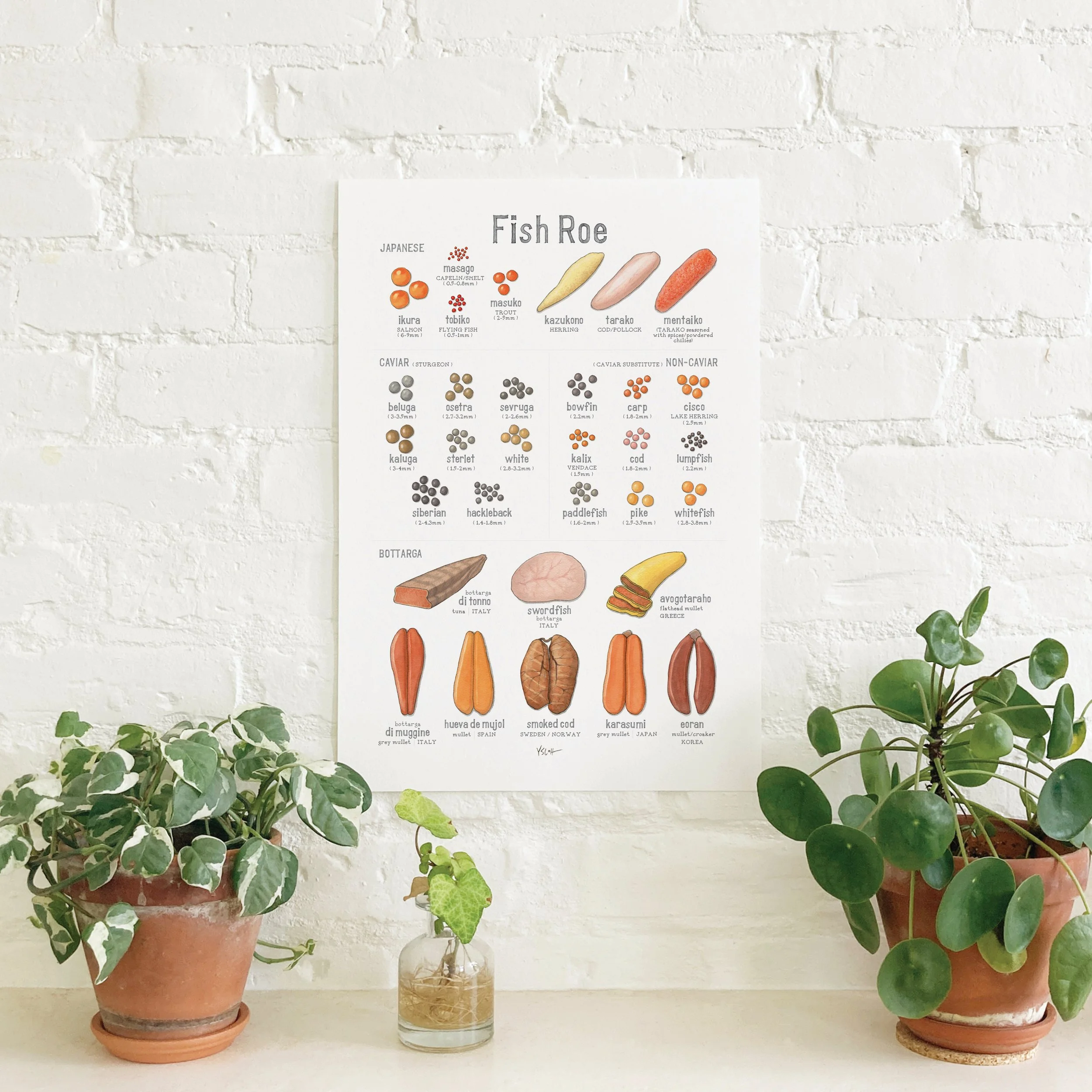 Shop_Poster_13x19_Fish Roe2.jpg