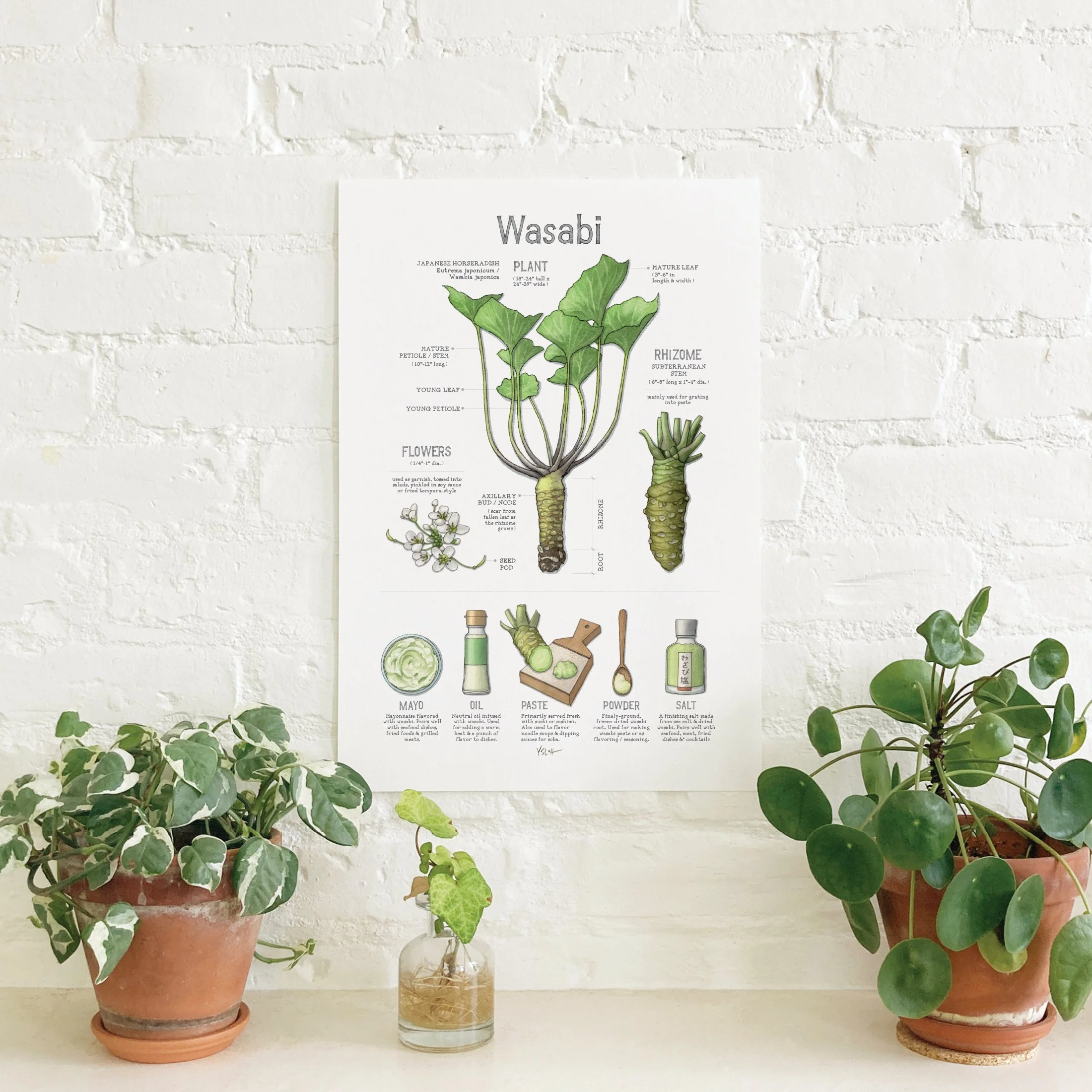 Shop_Poster_13x19_Wasabi2.jpg