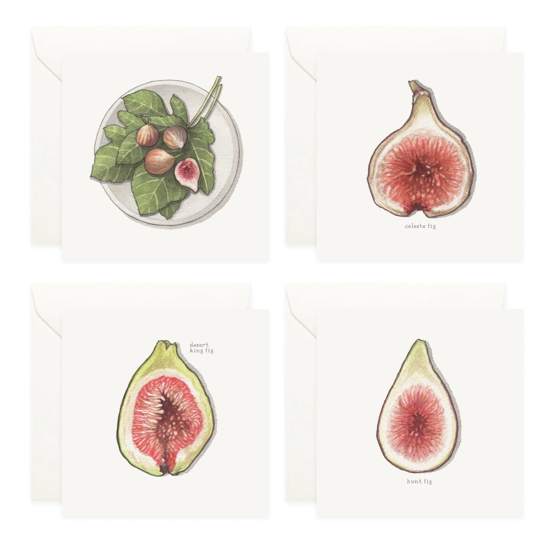 Shop_Box Set_Figs4.jpg