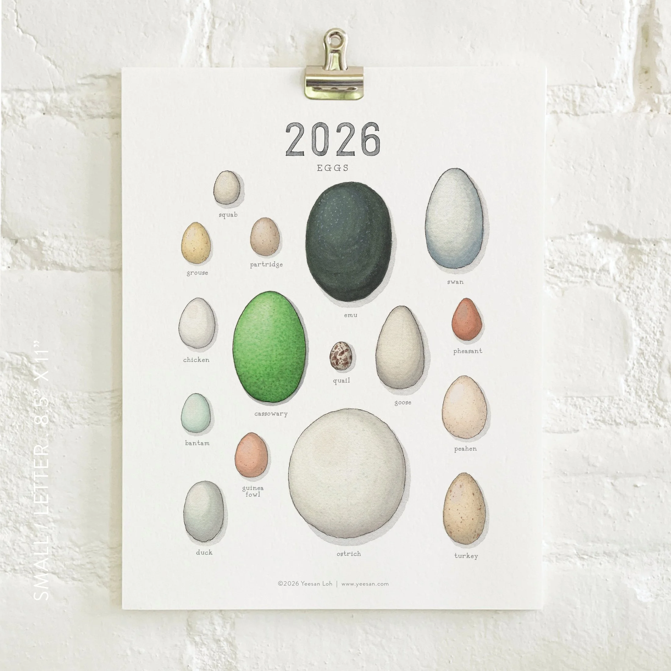 2026_shop_Calendars_Eggs6.jpg