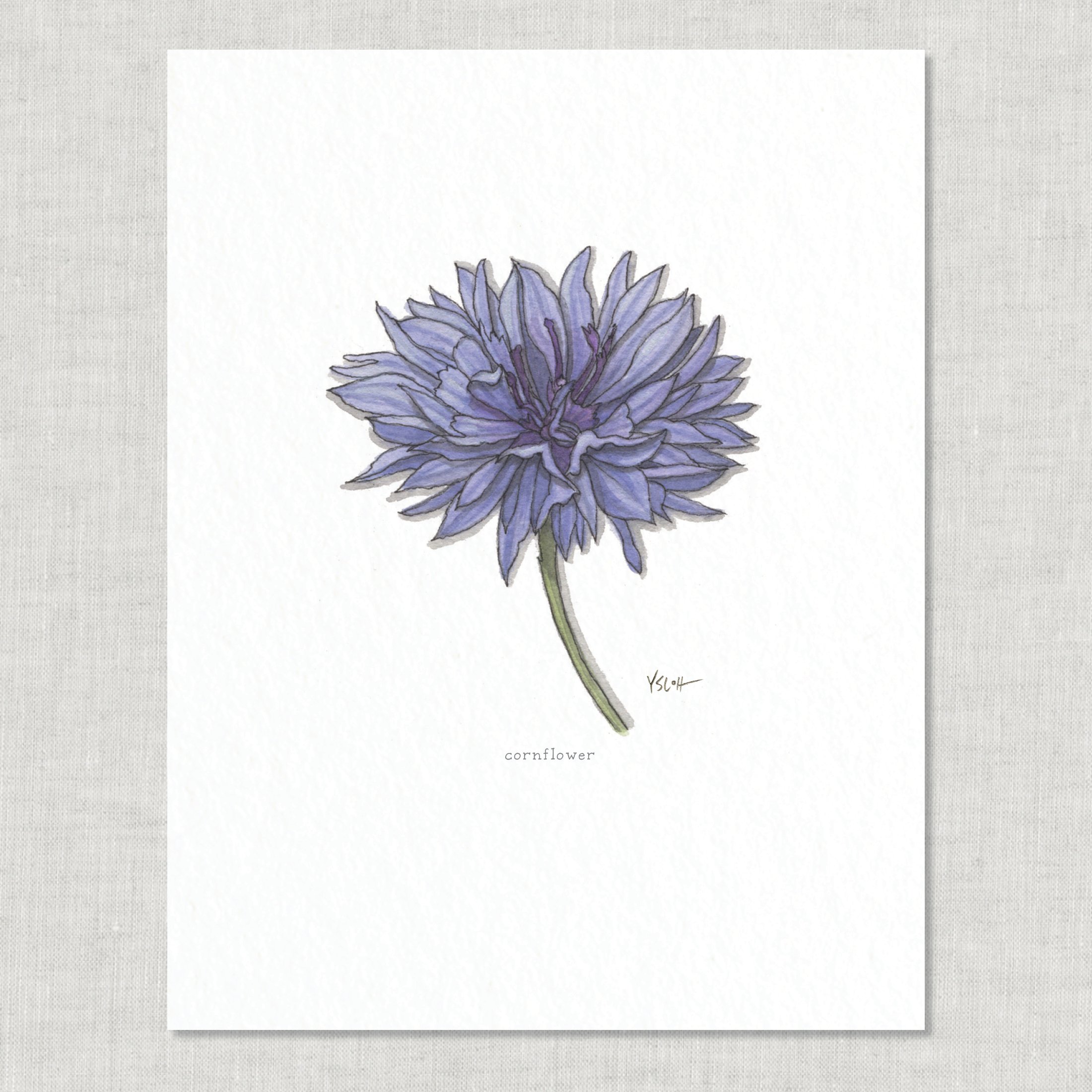 Shop_8.5x11_print_Edible Flowers10.jpg