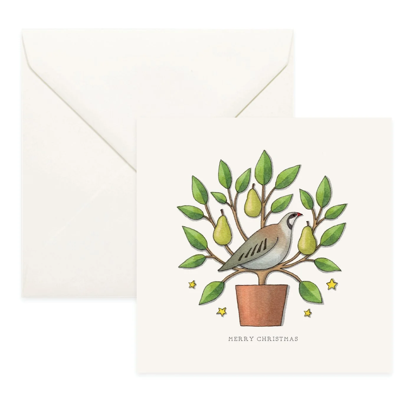 Shop_Cards_Folded_12 Days_no text.jpg
