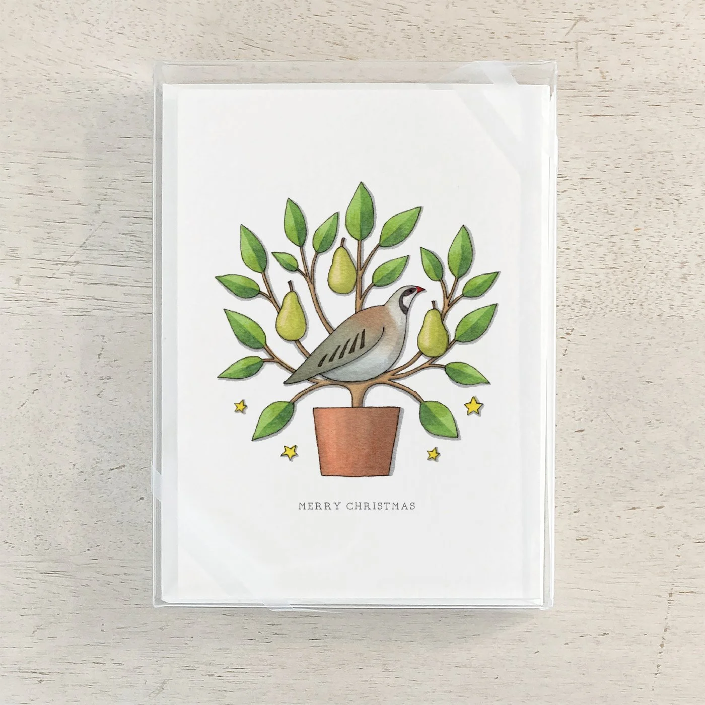 Shop_Box Set_A6_CCBox_Birds 0f X'mas.jpg (Copy)