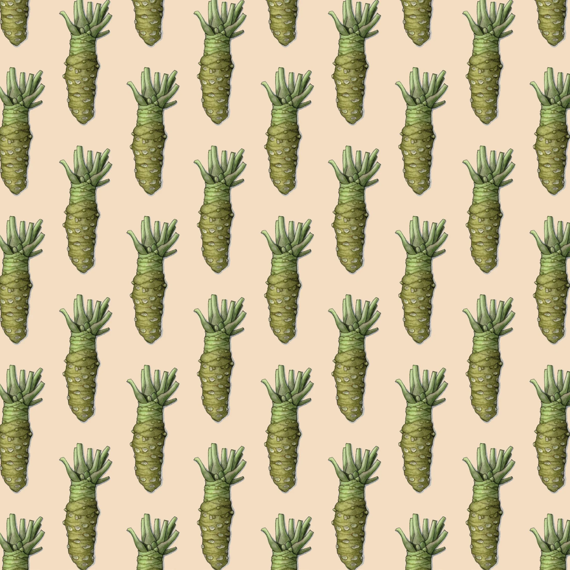 Wasabi_Gift Wrap4.jpg