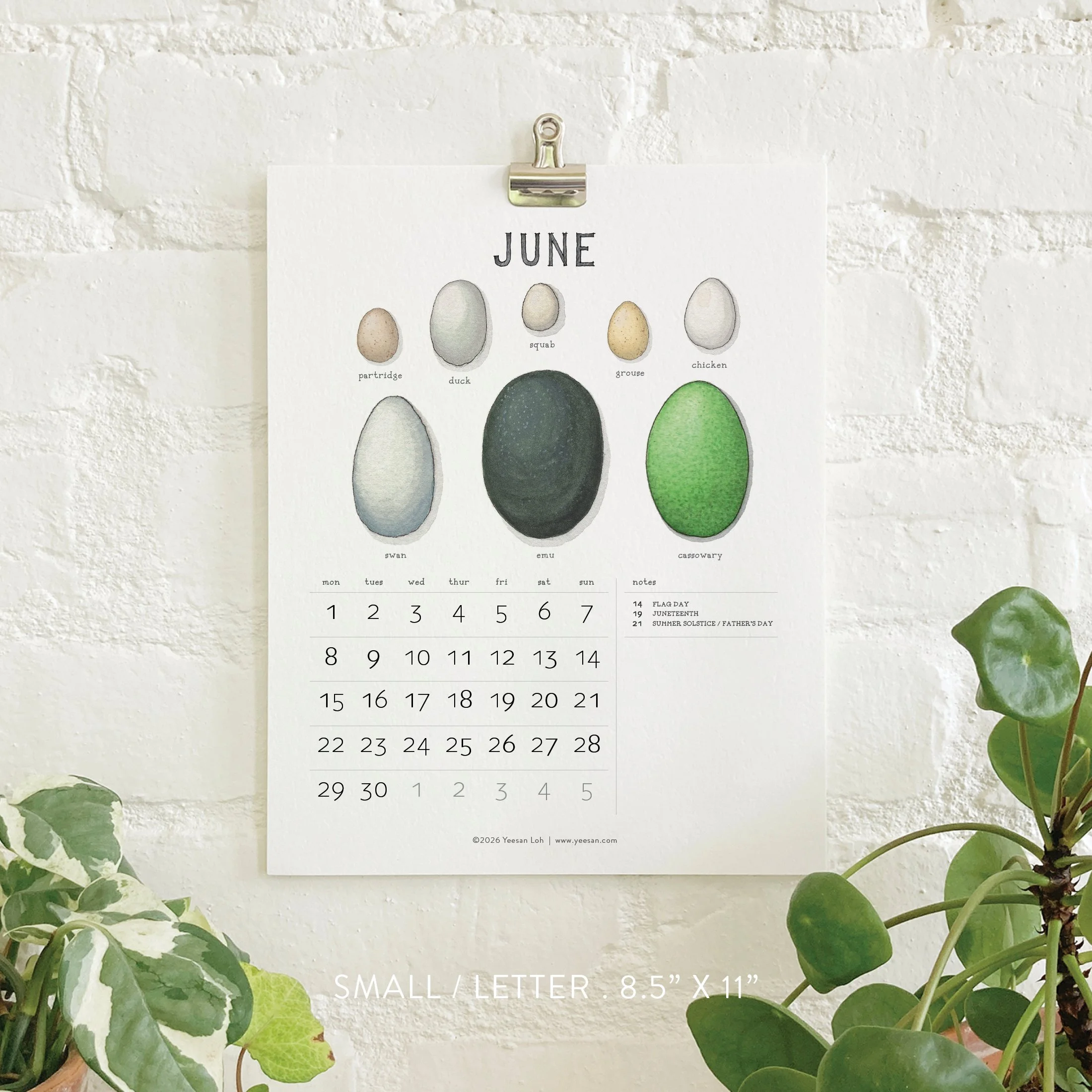 2026_shop_Calendars_Eggs7.jpg