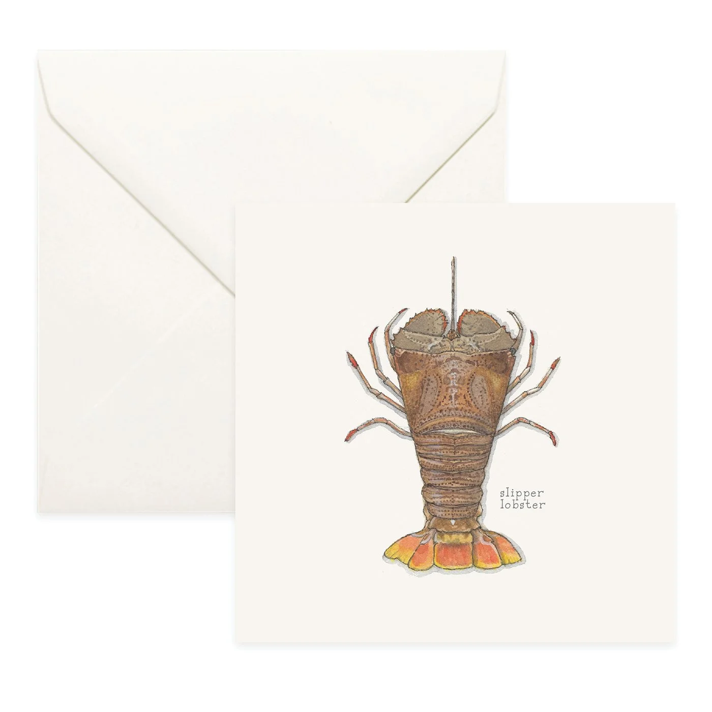 Shop_Cards_Lobsters12.jpg