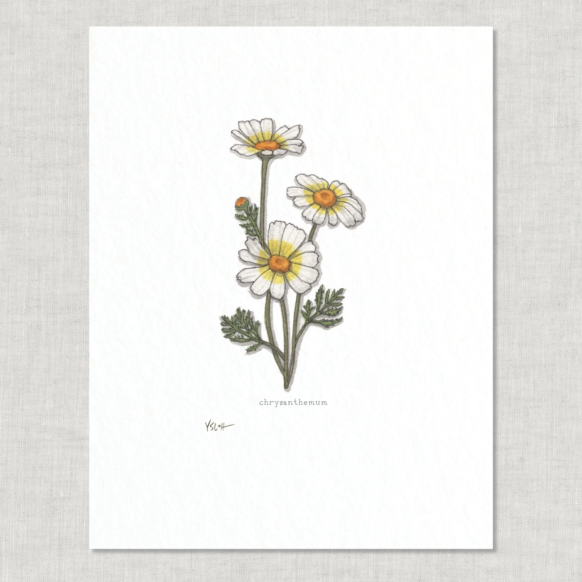 Shop_8.5x11_print_Edible Flowers9.jpg