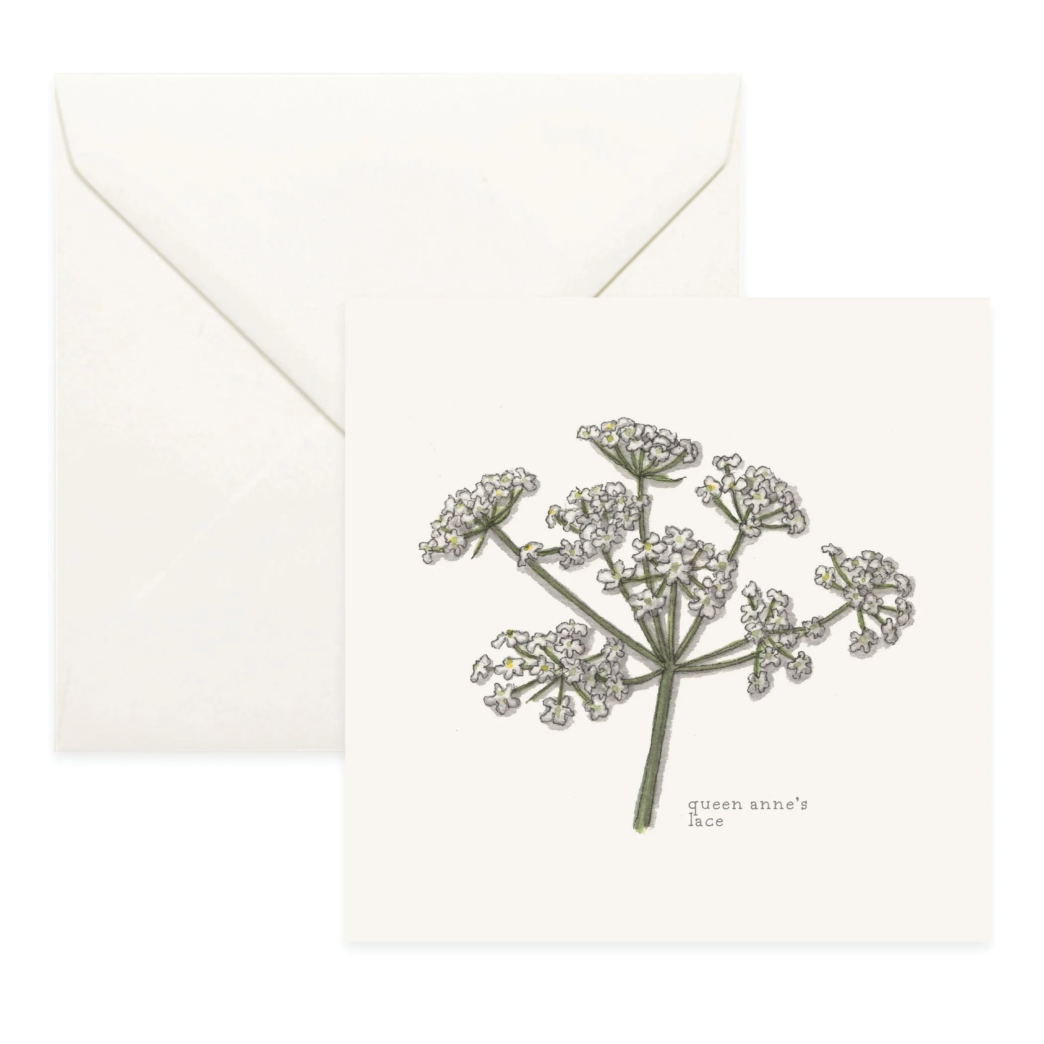 Shop_Cards_Flowers19.jpg