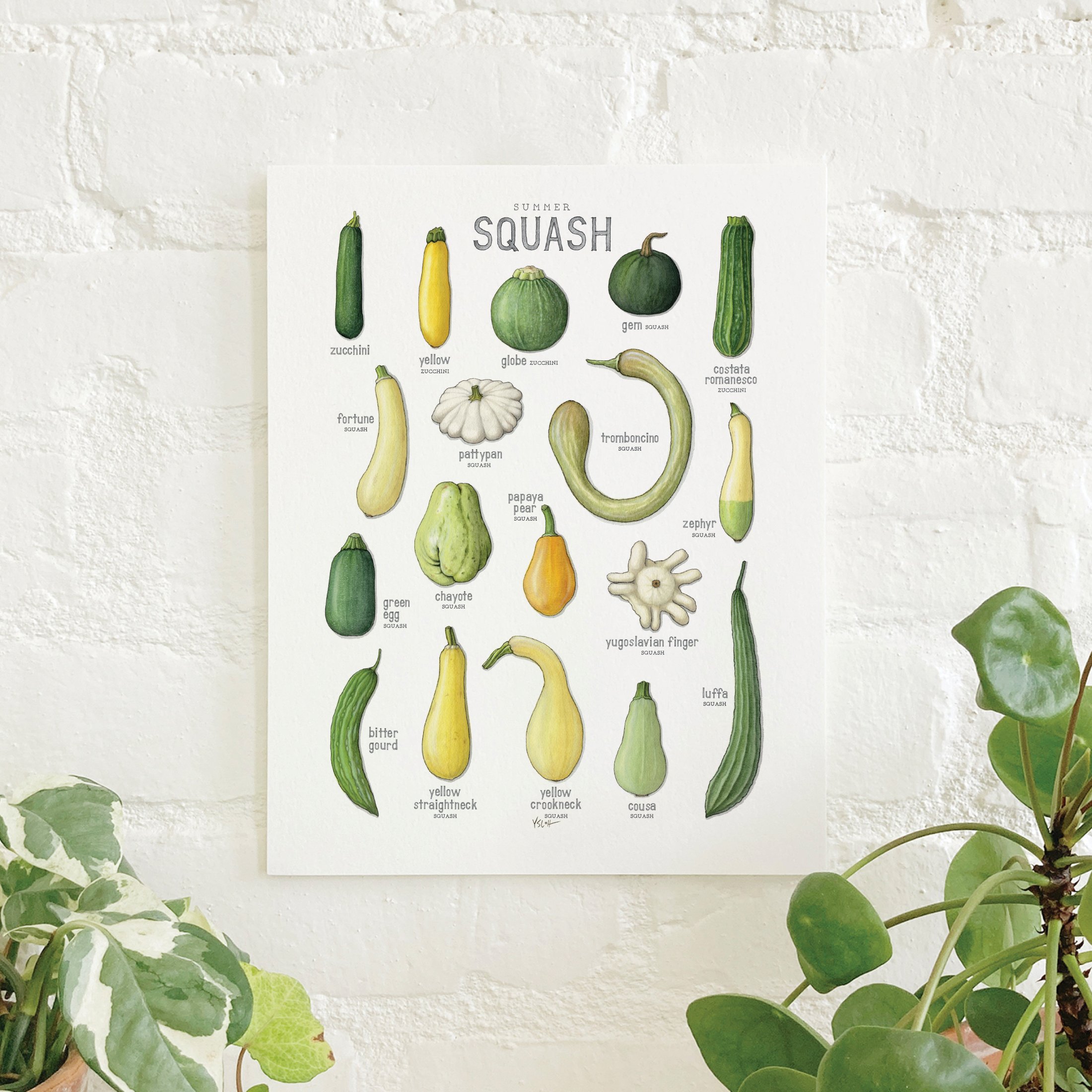 Shop_Prints_8.5x11_Squash_Summer.jpg