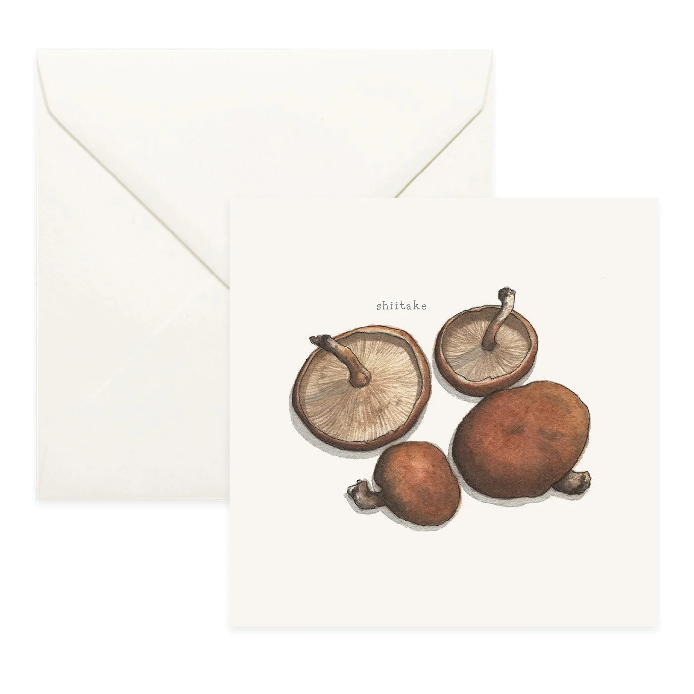 Shop_Cards_Mushrooms21.jpg (Copy)