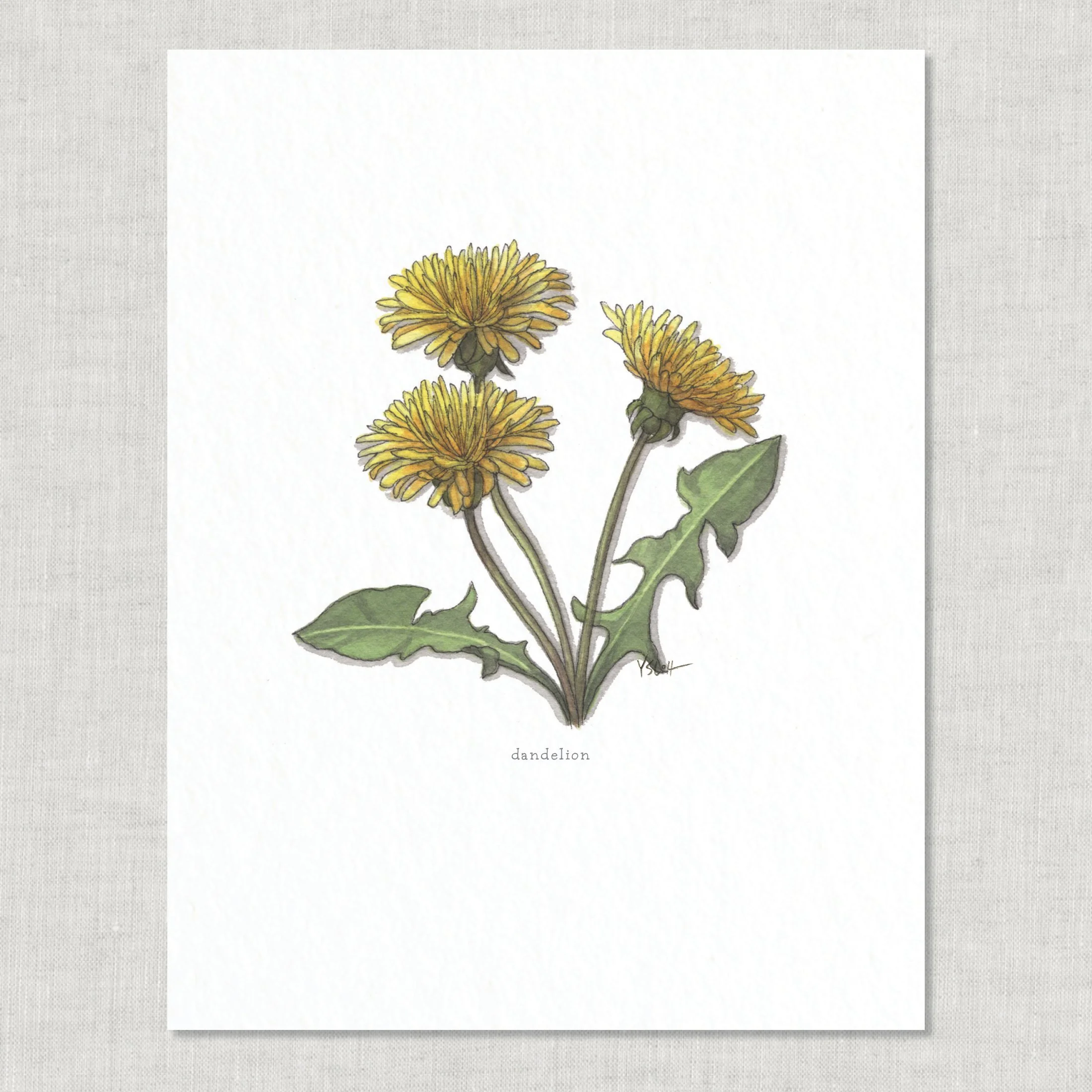 Shop_8.5x11_print_Edible Flowers11.jpg