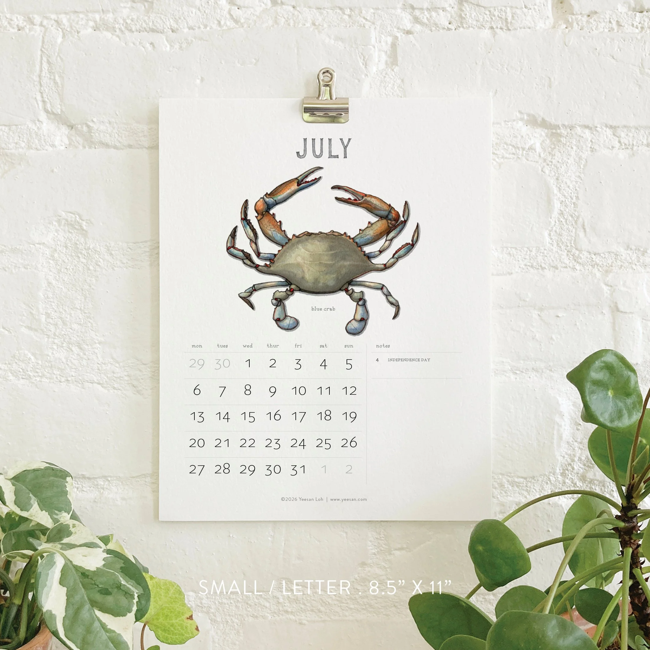 2026_shop_Calendars_Shellfish8.jpg