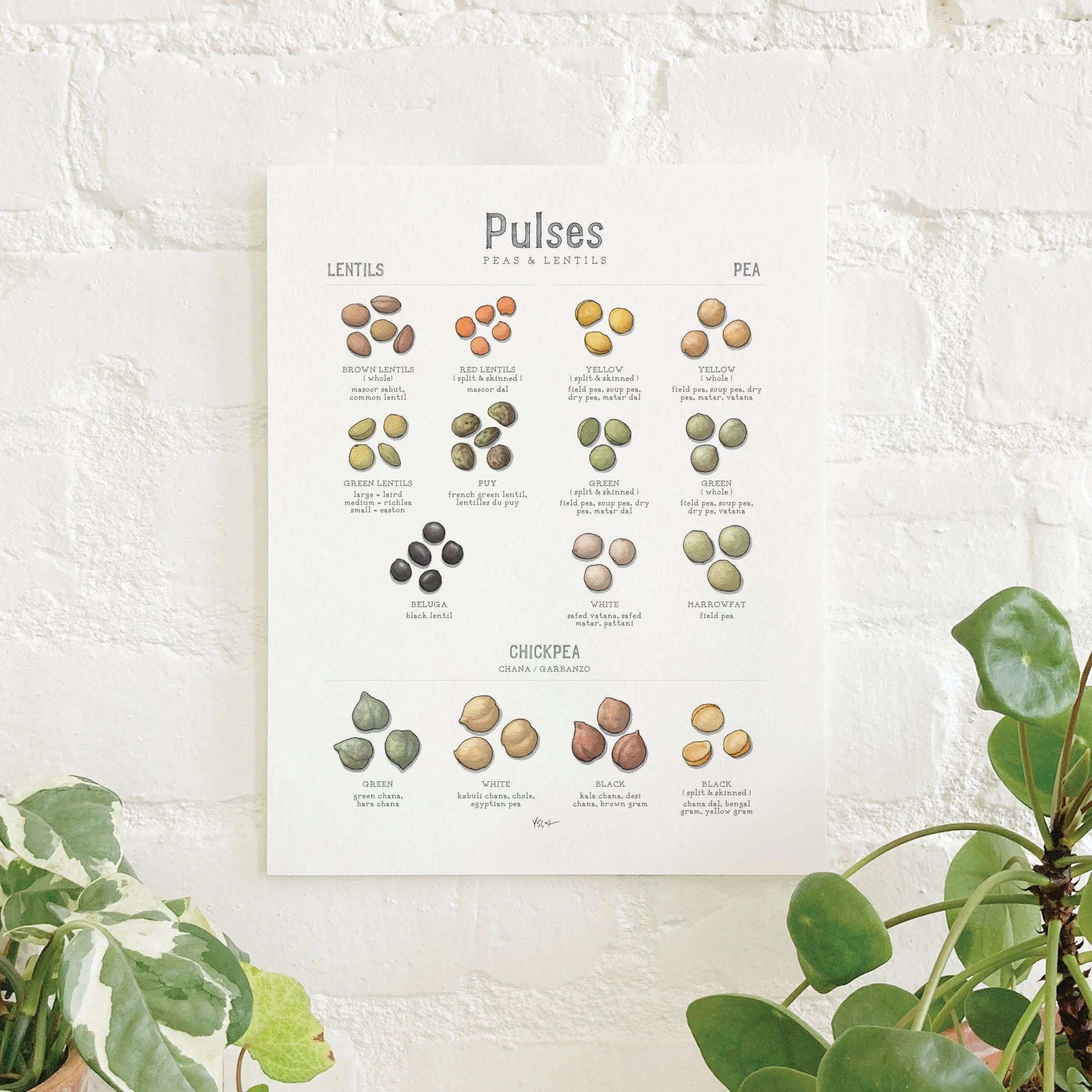 Shop_Prints_8.5x11_Pulses4.jpg