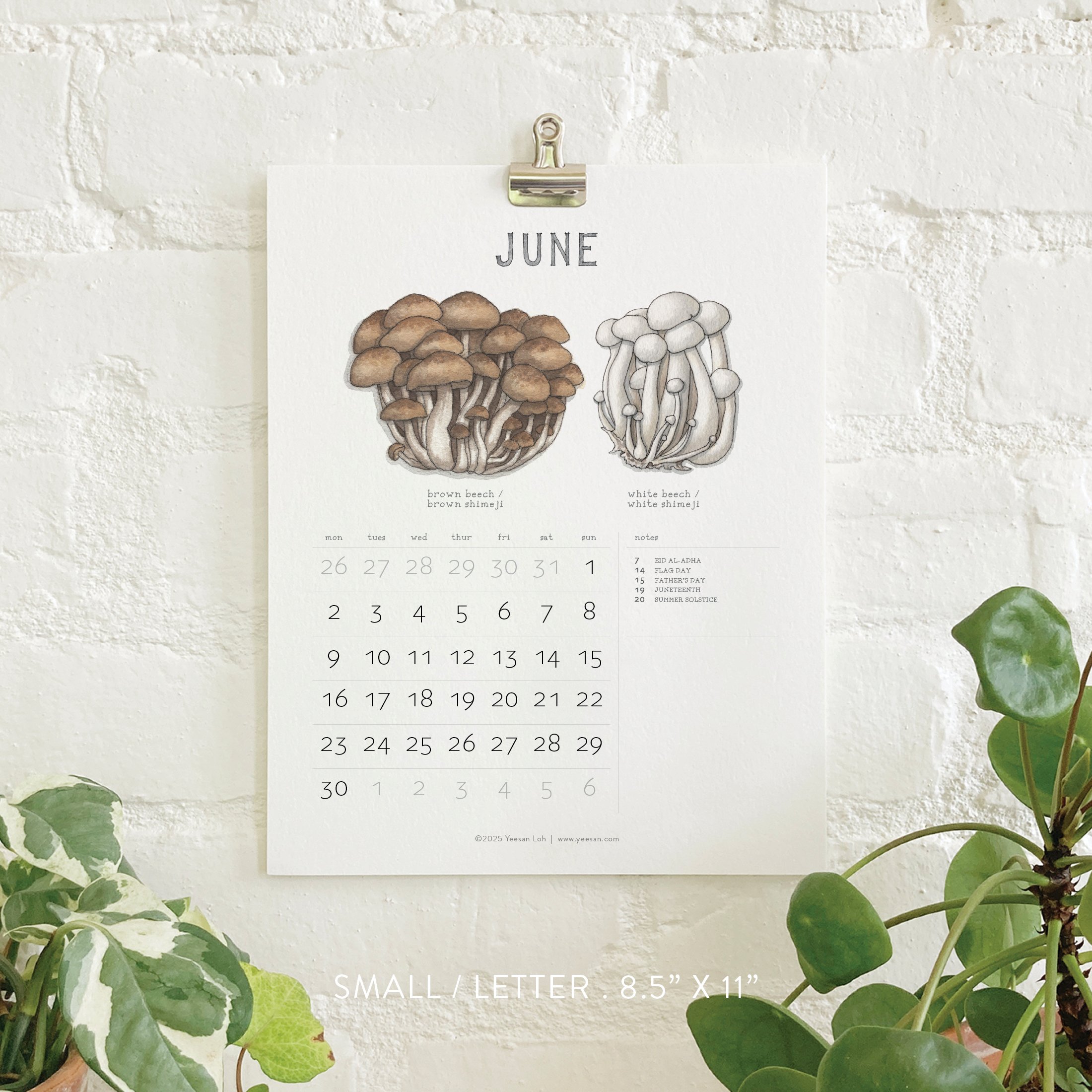 2025_shop_Calendars_Mushrooms8.jpg