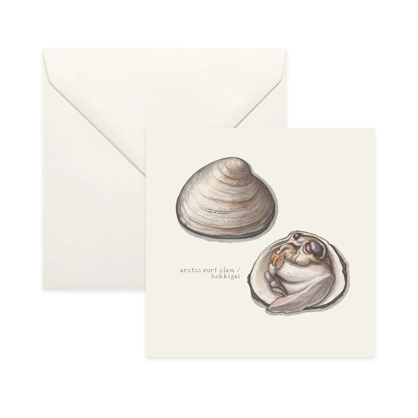 Shop_Card_Bivalves12.jpg