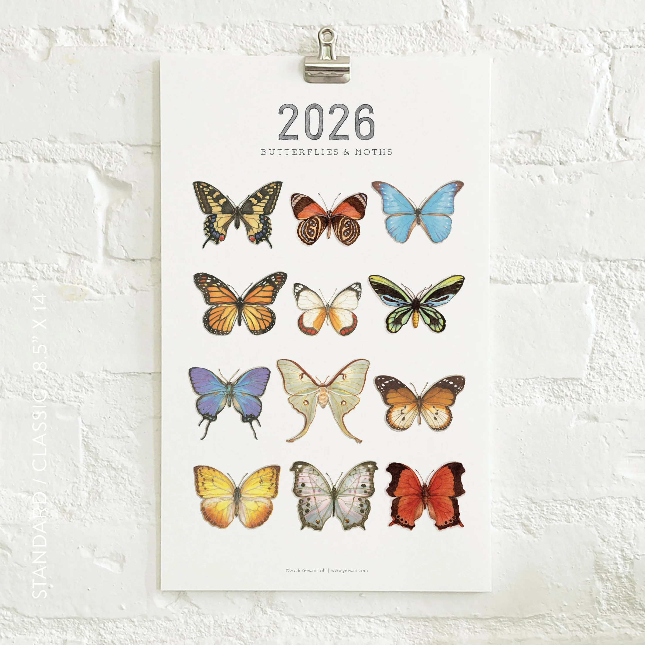 2026_shop_Calendars_B&M2.jpg