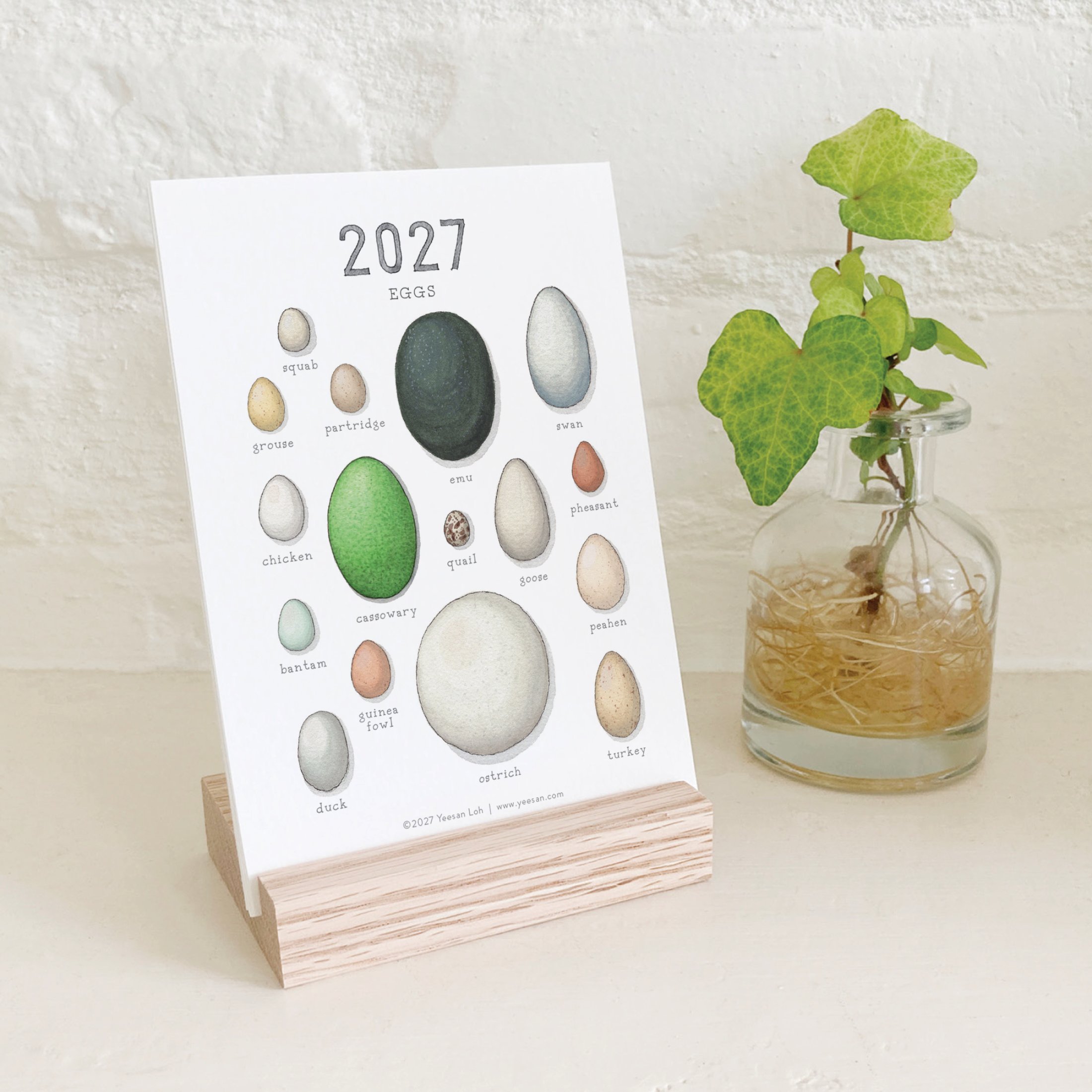 2027_shop_CAL_Eggs10.jpg