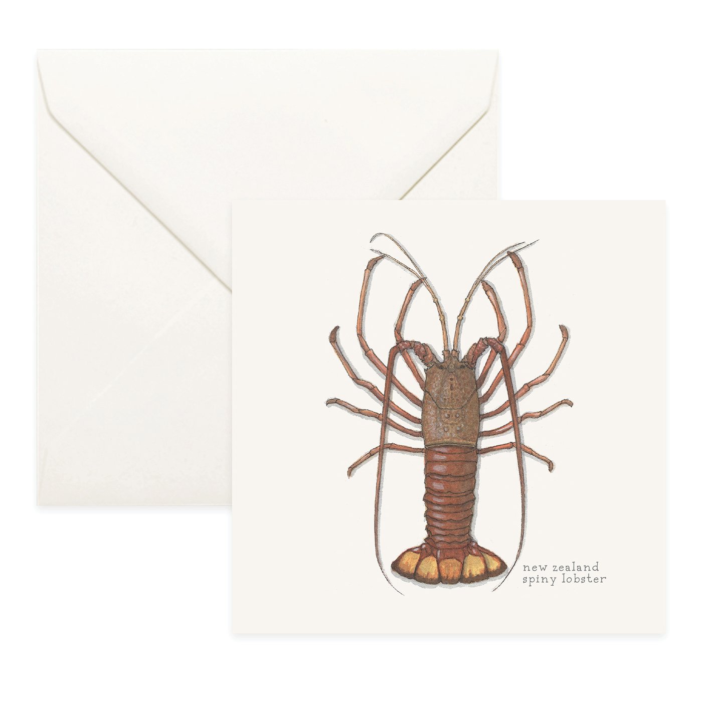 Shop_Cards_Lobsters10.jpg