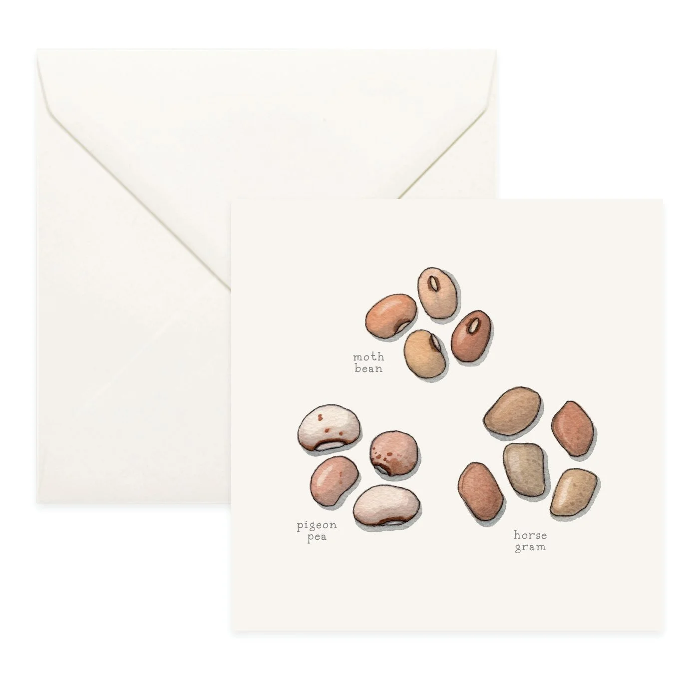 Shop_Cards_Pulses12.jpg
