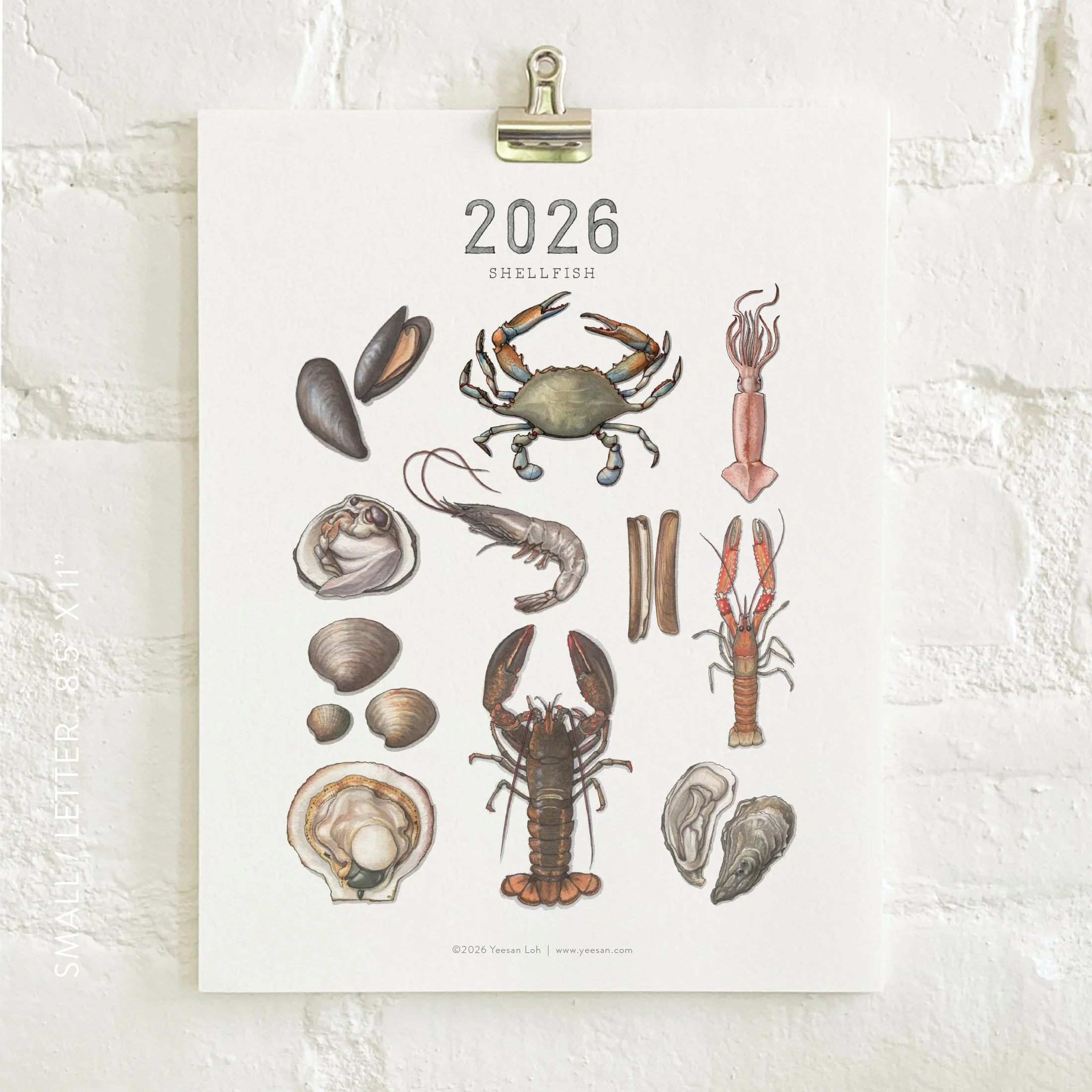 2026_shop_Calendars_Shellfish6.jpg