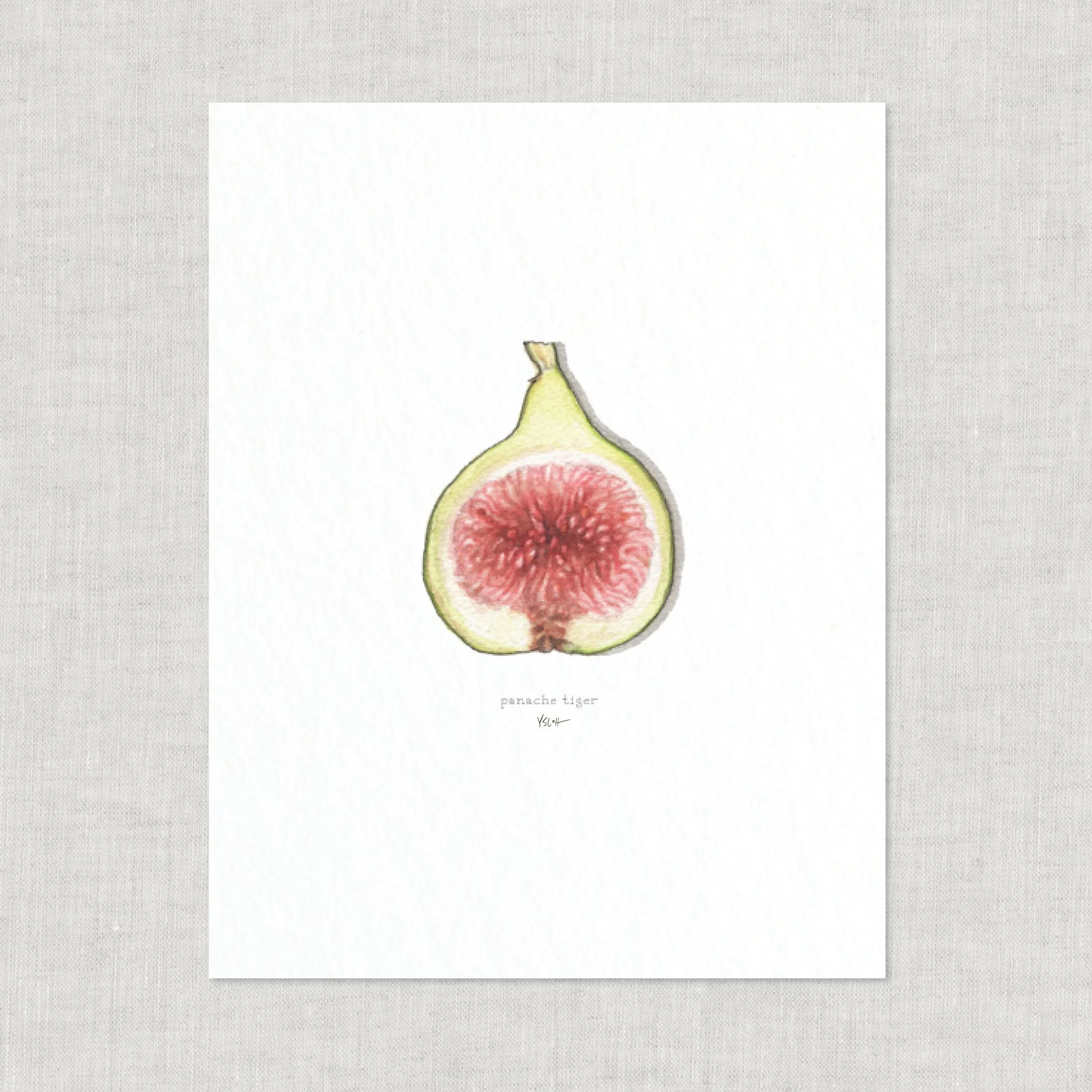 Shop_Prints_8.5x11_Figs14.jpg