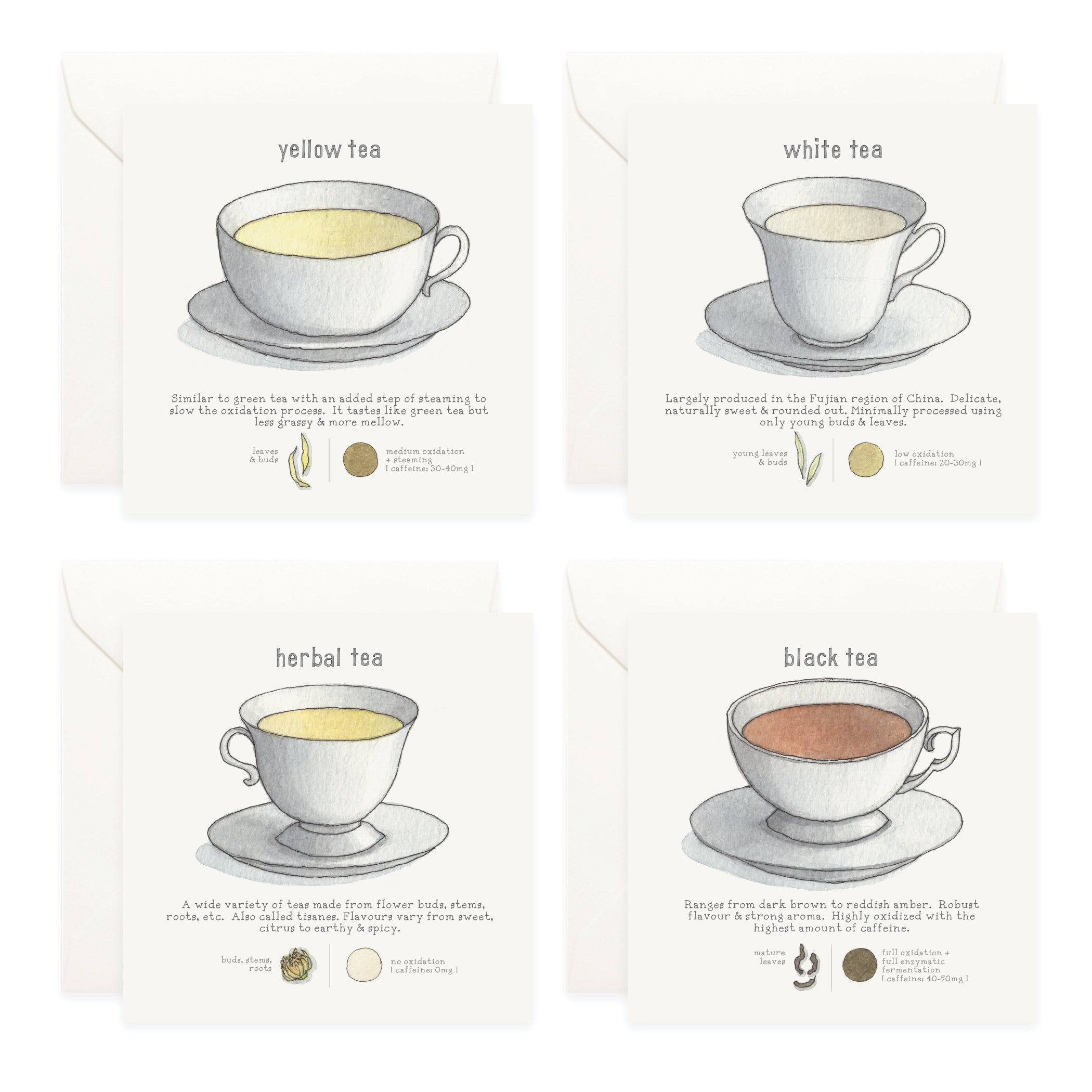 Shop_Box Set_Tea4.jpg