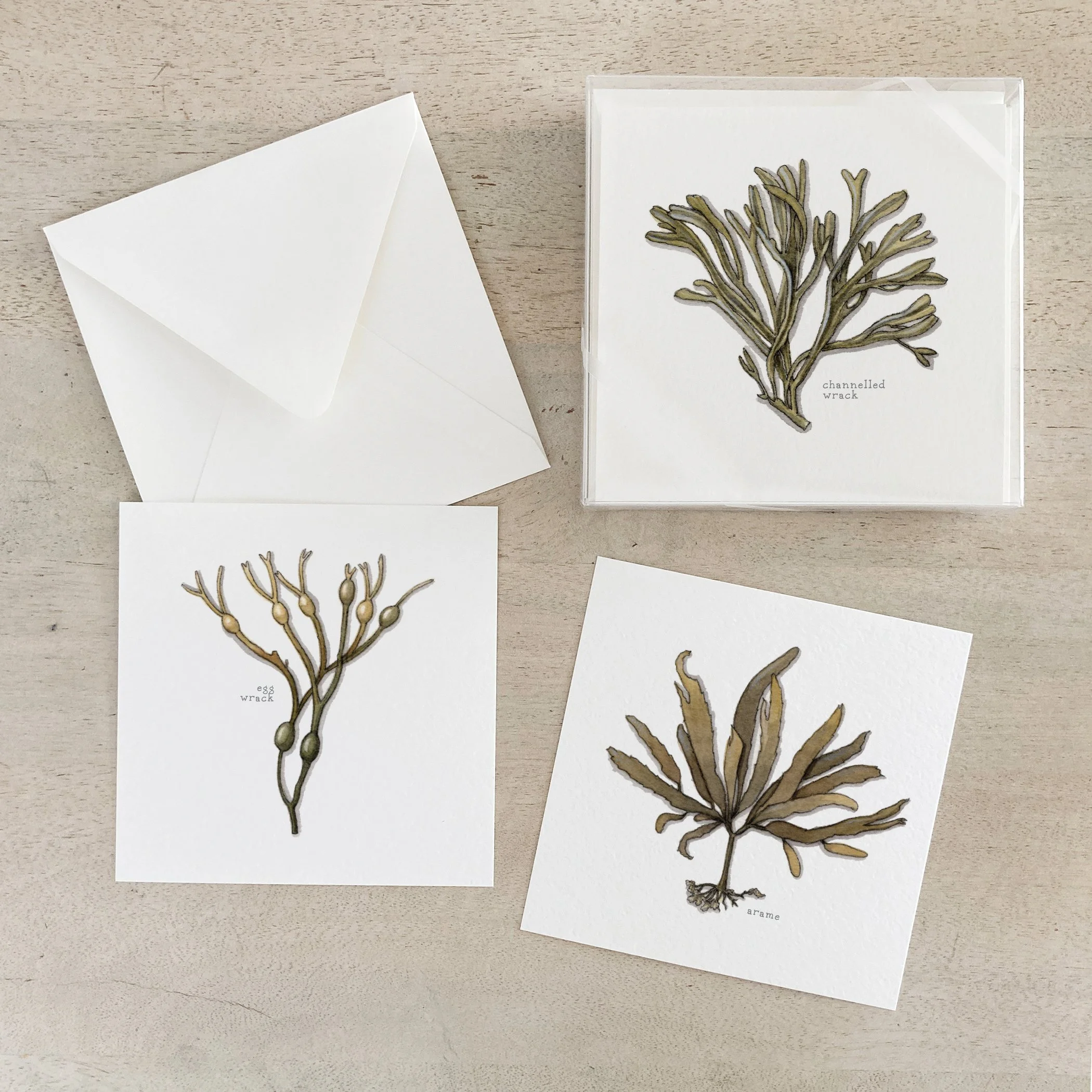 Seaweed | Box Set Cards