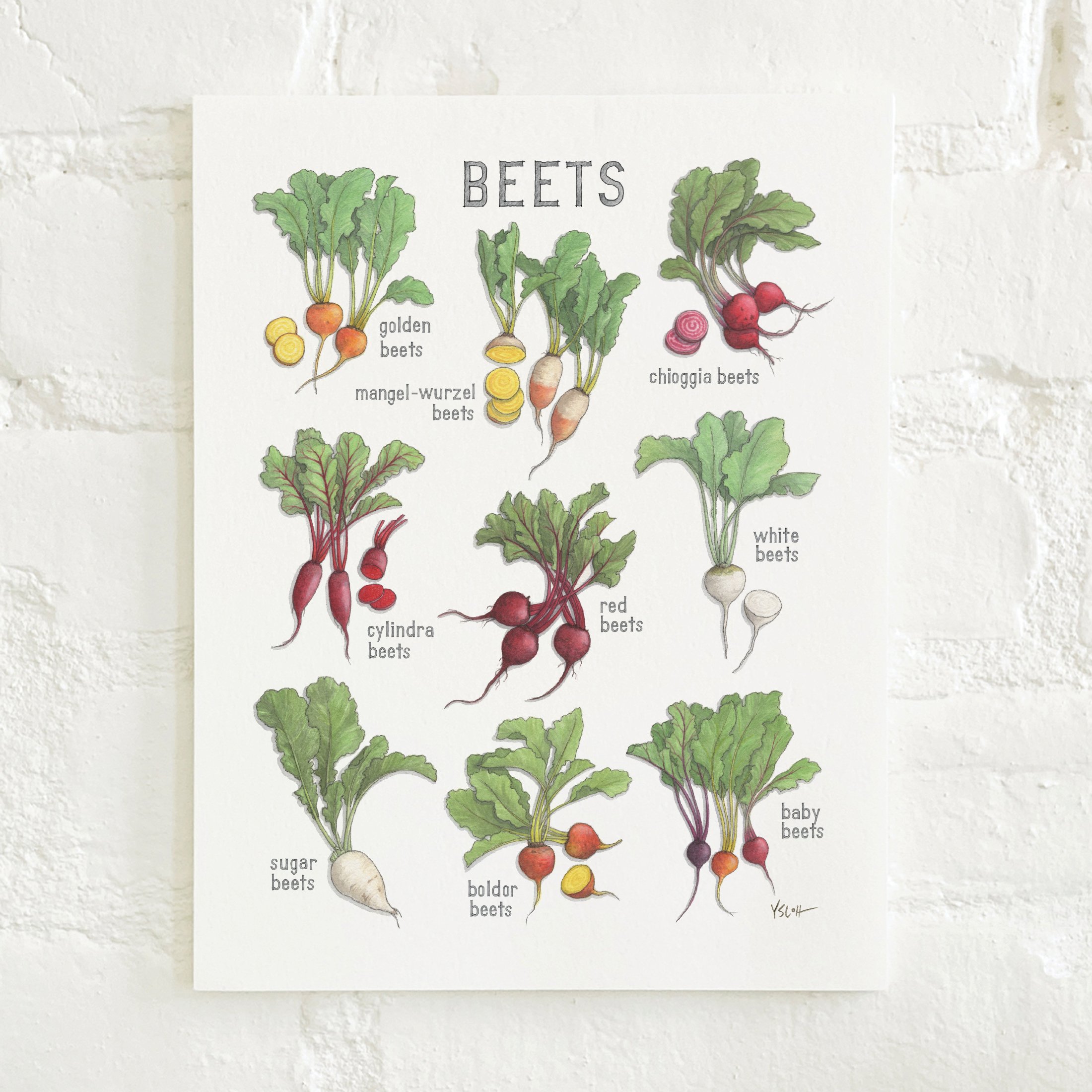 Shop_Prints_8.5x11_Beets2.jpg