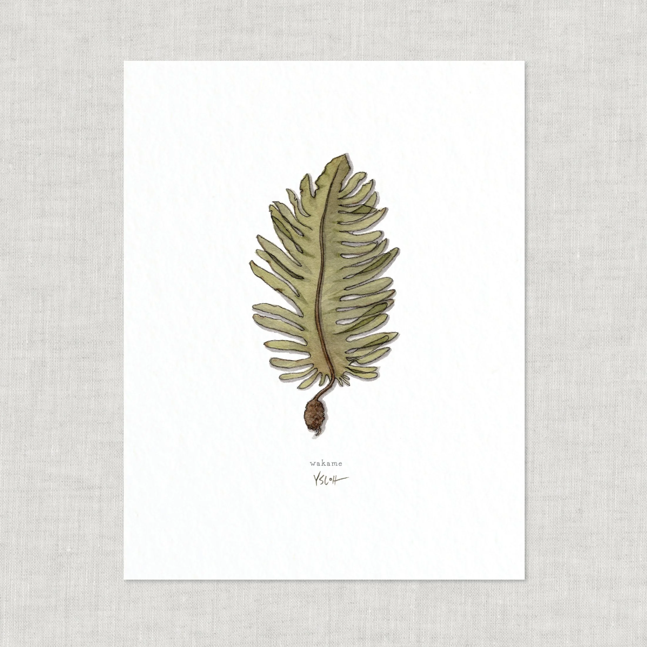 Shop_Prints_8.5x11_Seaweed24.jpg
