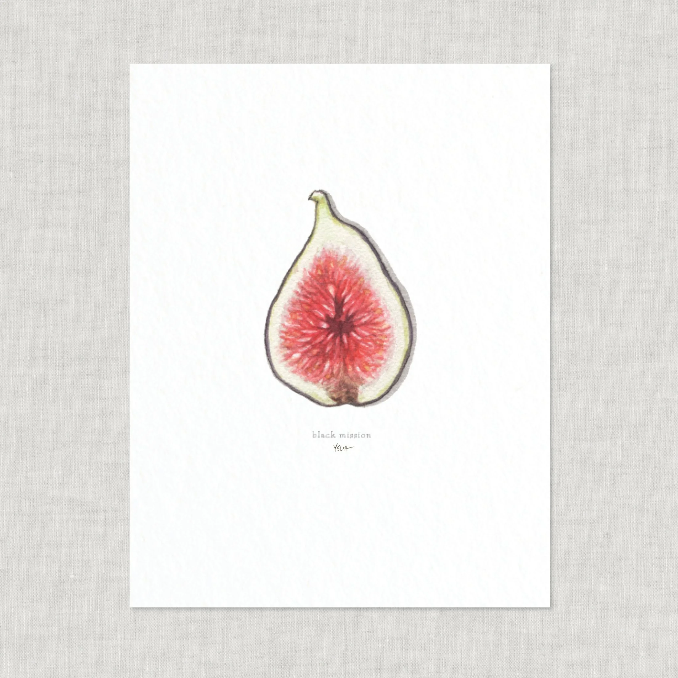 Shop_Prints_8.5x11_Figs9.jpg