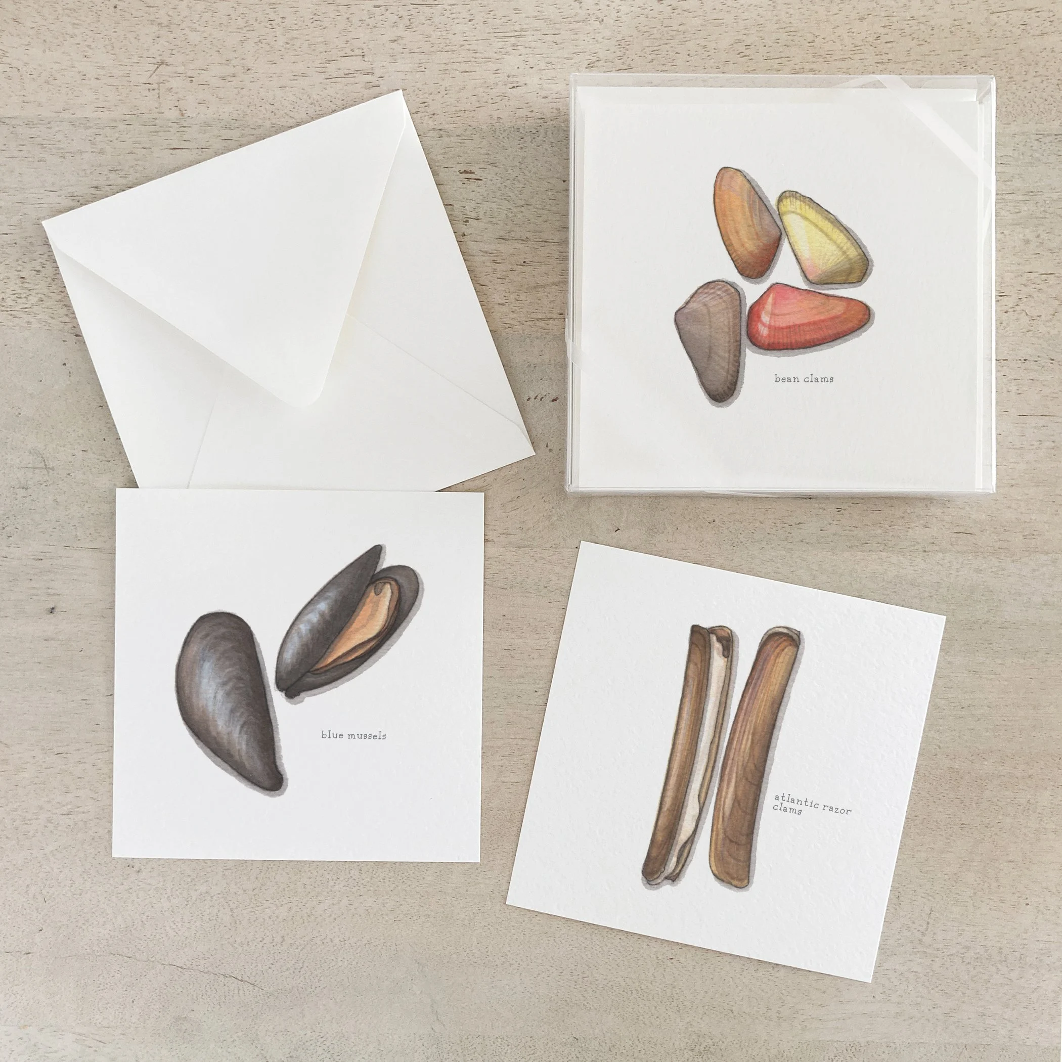 Bivalves | Box Set Cards