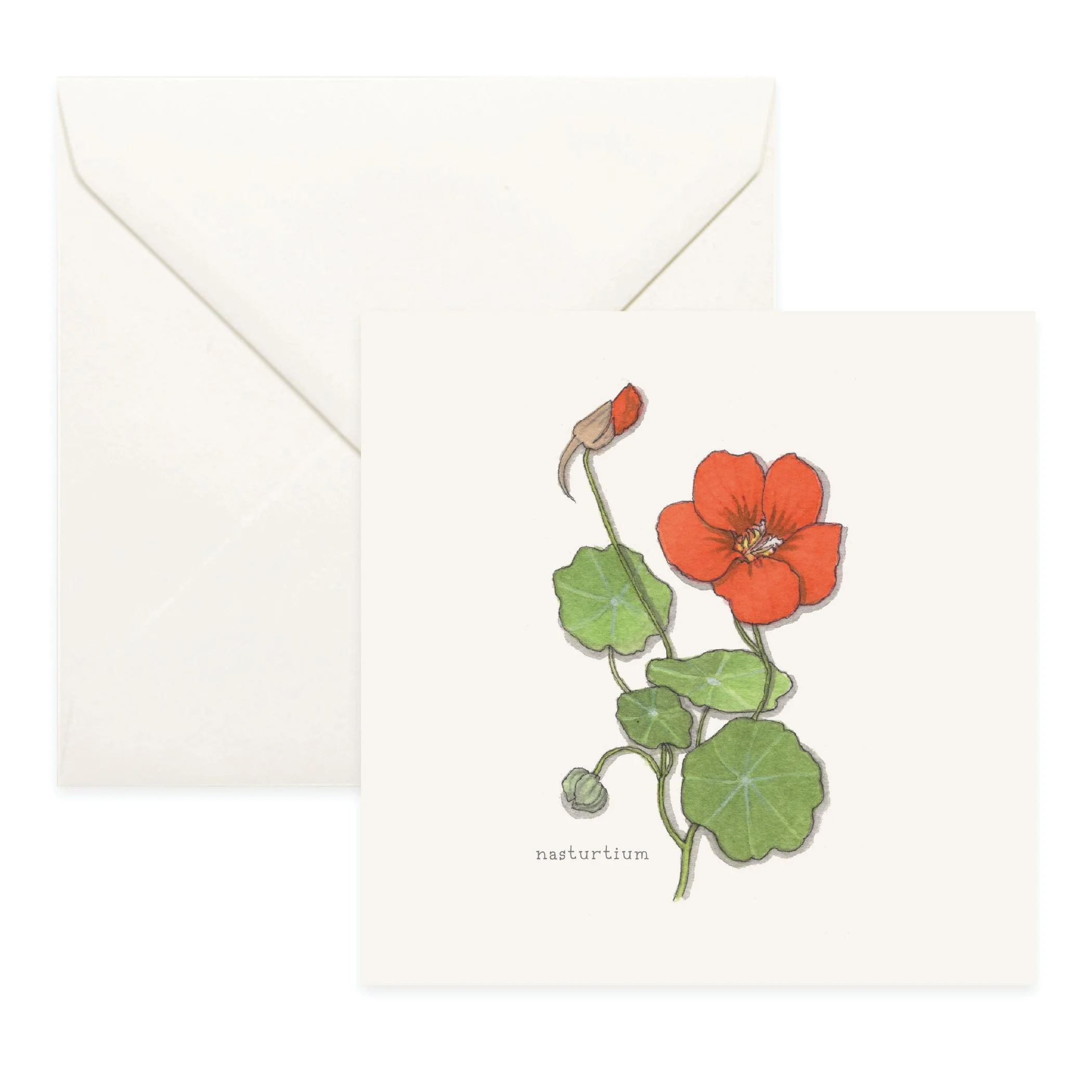 Shop_Cards_Flowers16.jpg