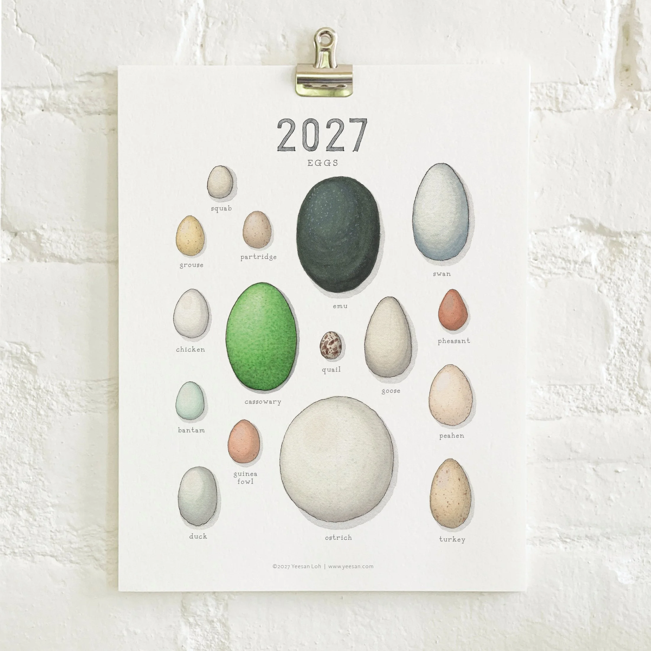 2027_shop_CAL_Eggs6.jpg