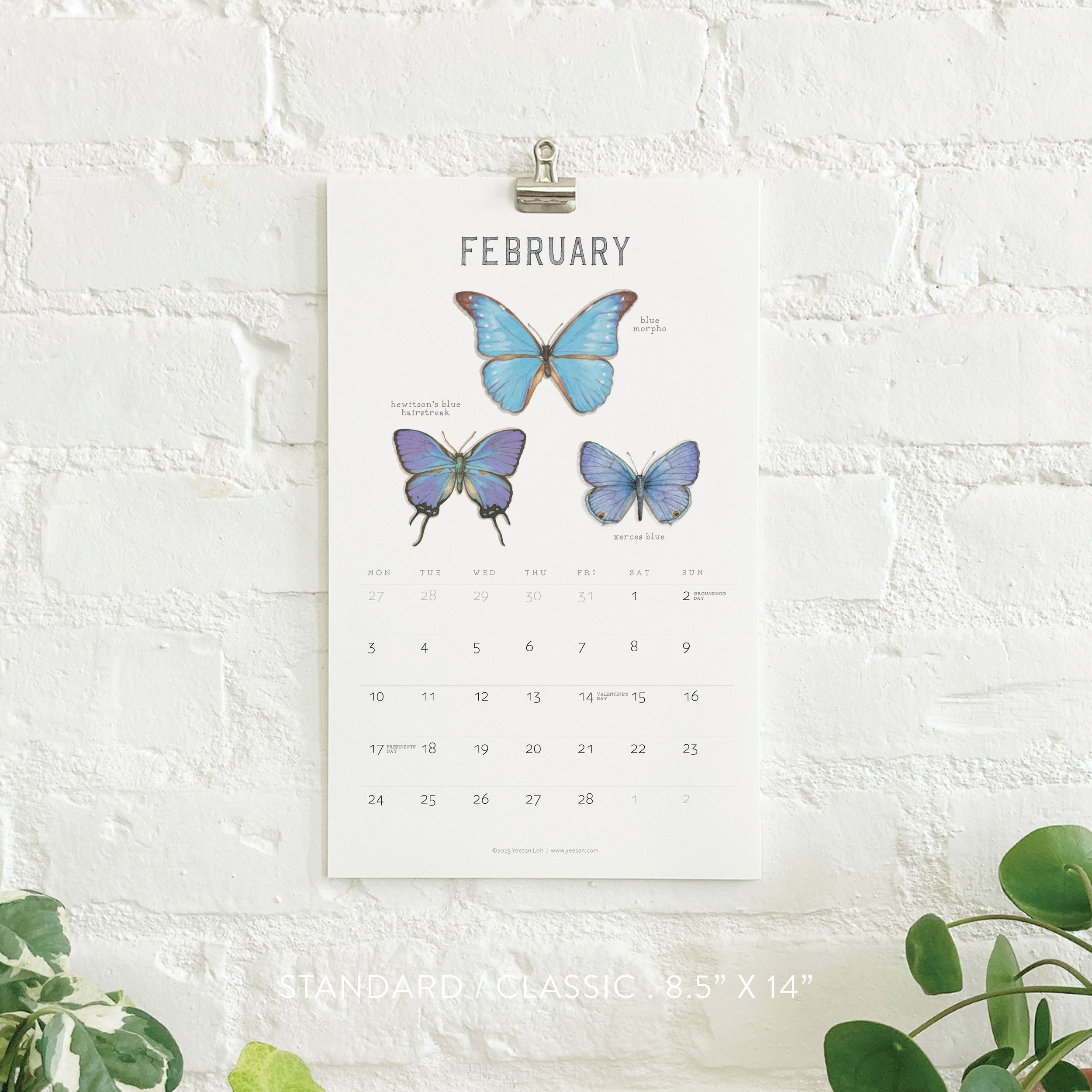 2025_shop_Calendars_B&M4.jpg
